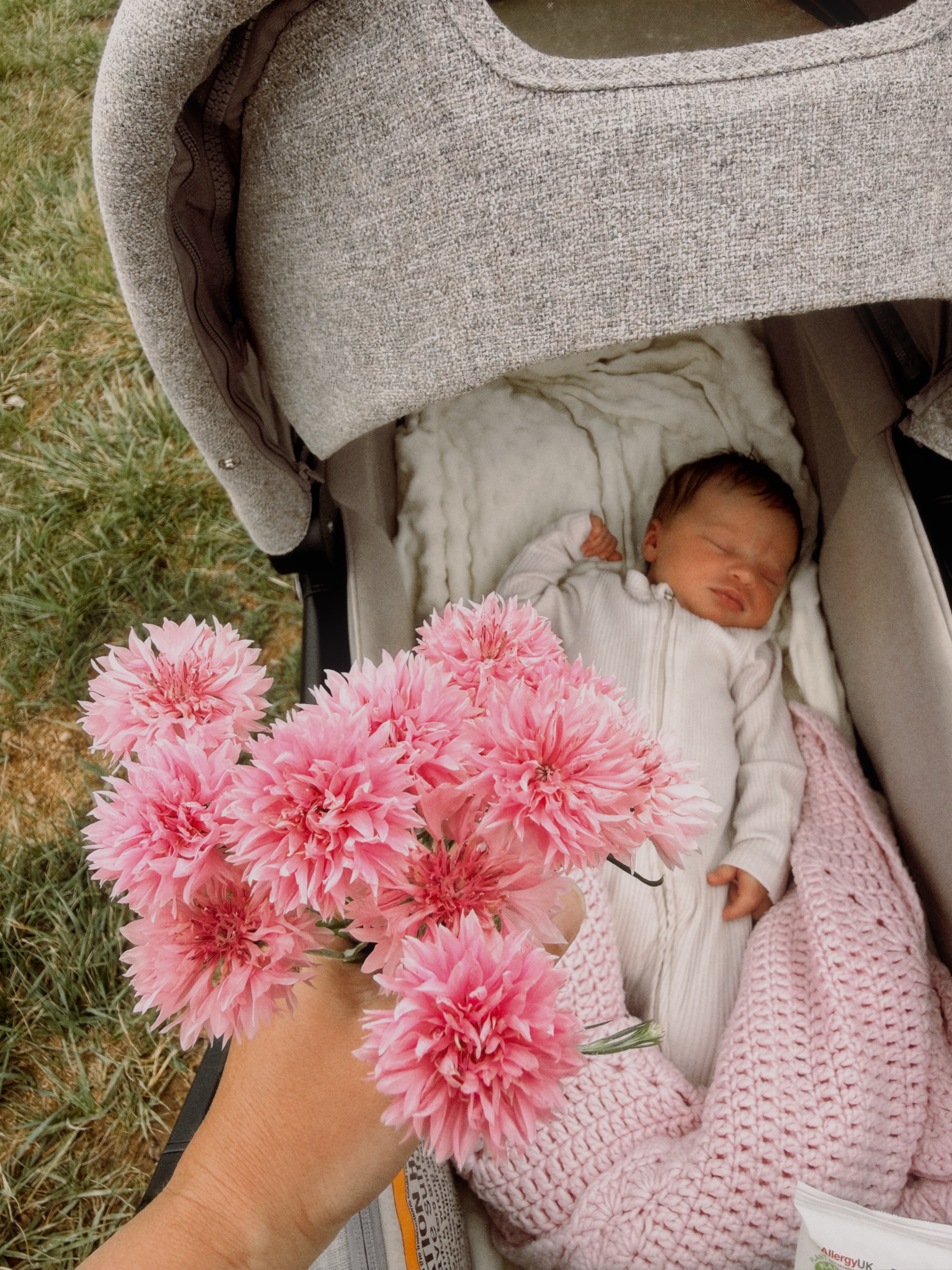 Newborn bubble on the farm with both my girls 🤍 Can’t believe our little Anneliese is already 1 week old.