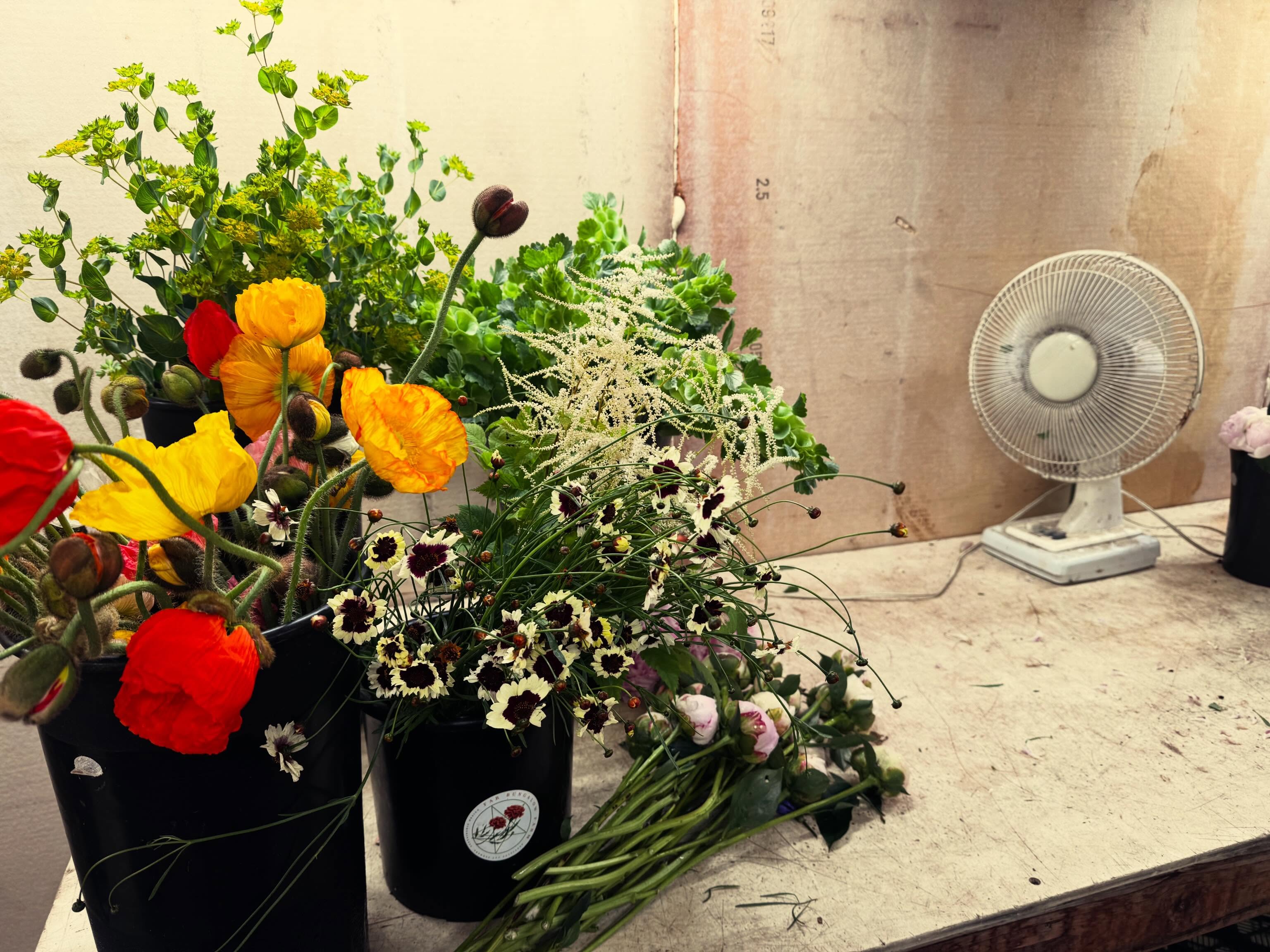 When you grow flowers and it doesn’t stop raining…
We’ve got blooms dried by fans to brighten up your rainy spring week @fallschurchfarmersmarket
#localflowers #flowerfarmer #farmersmarket #nofarmsnofood #dmvflowers