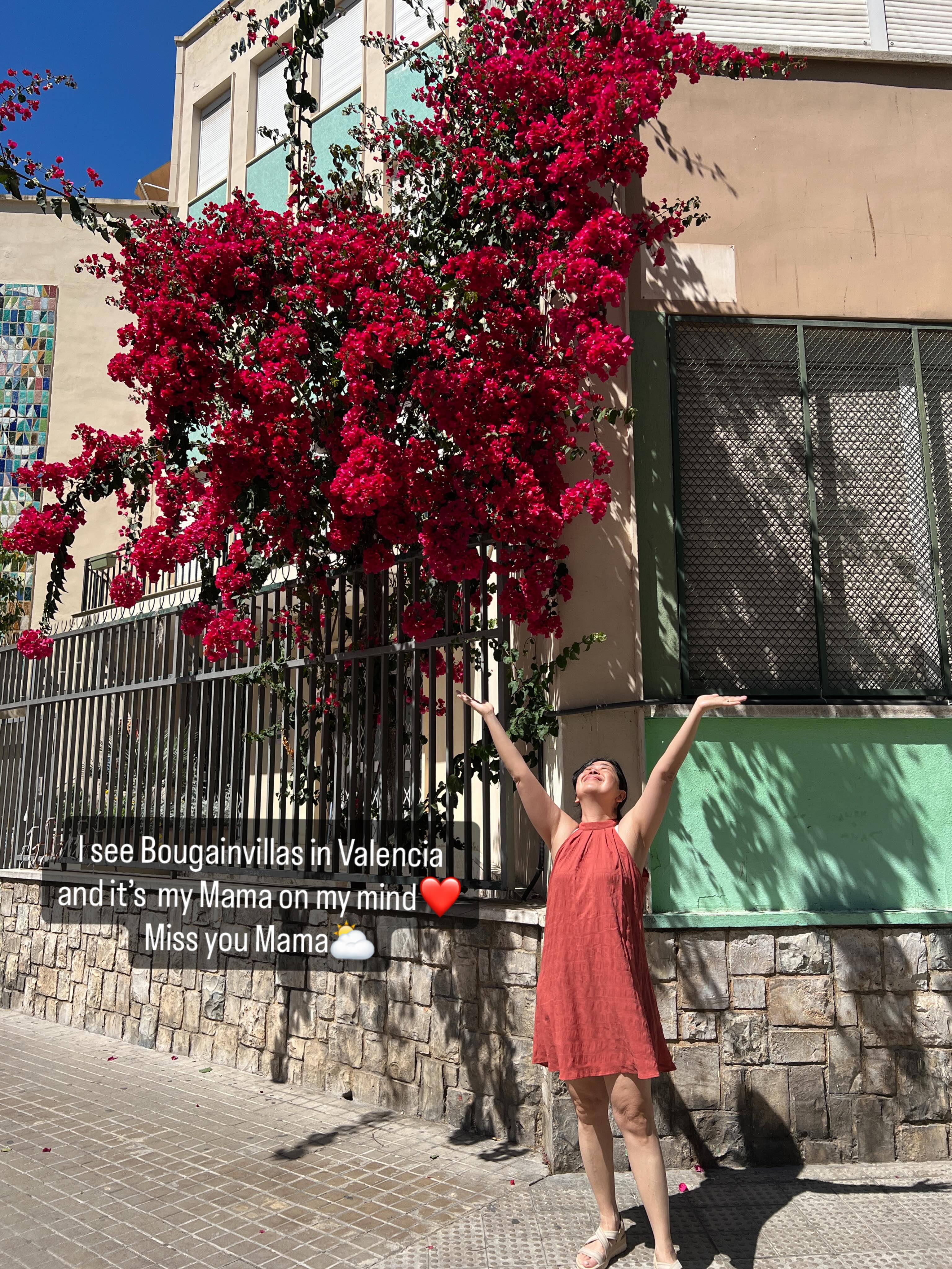 These bougainvilleas in Valencia while visiting my first born @sofiavbeck, made my walk feel a little more special. Thinking of you, Mama—missing you❤️. I know you’d be happy I’m here.