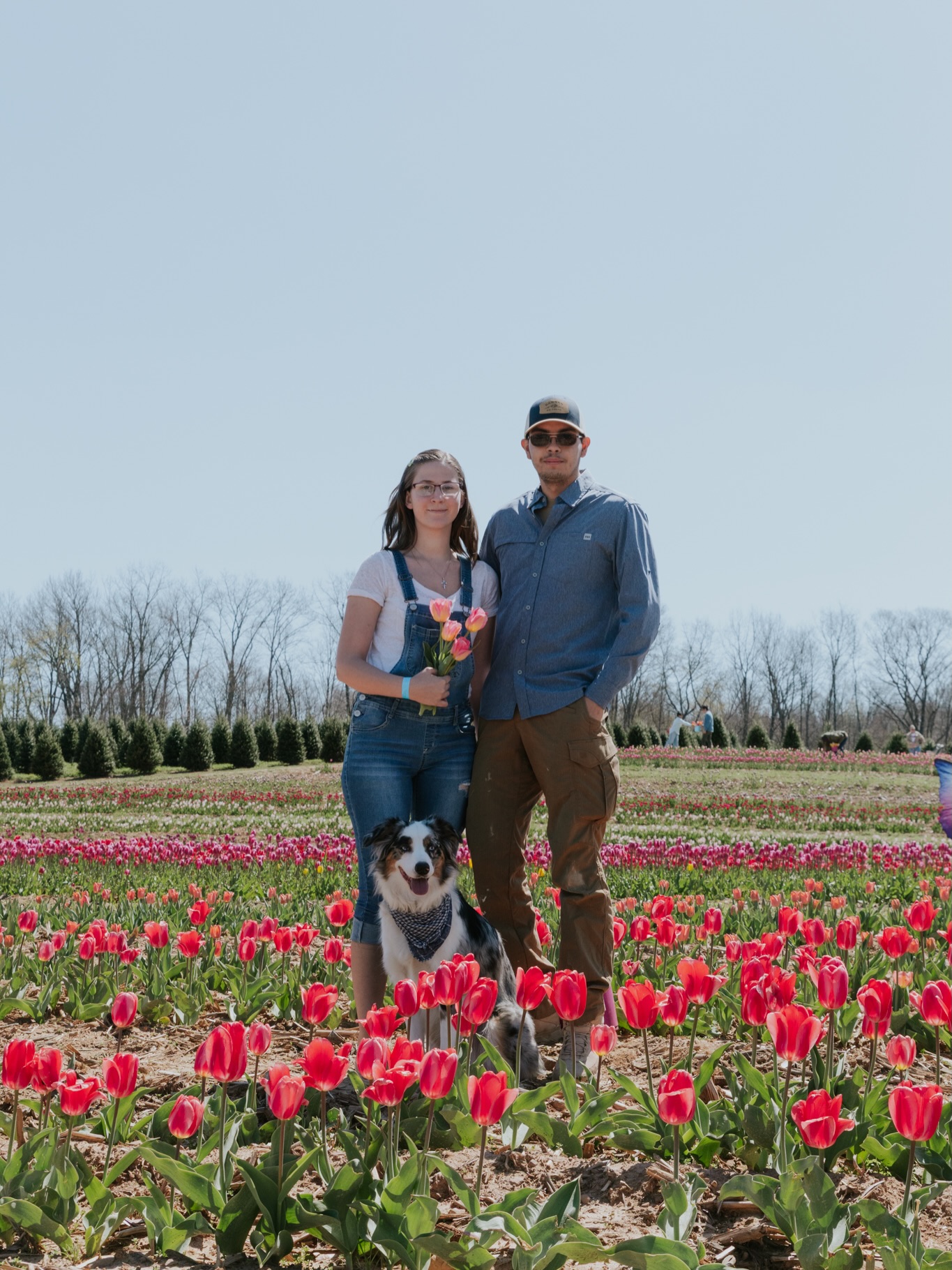 This is just a reminder that your pets are family too 🤍
Always bring them to the session! 🐾
#tulipfields #ohiophotographer #dogphotographer #familyphoto #ohioweddingphotographer