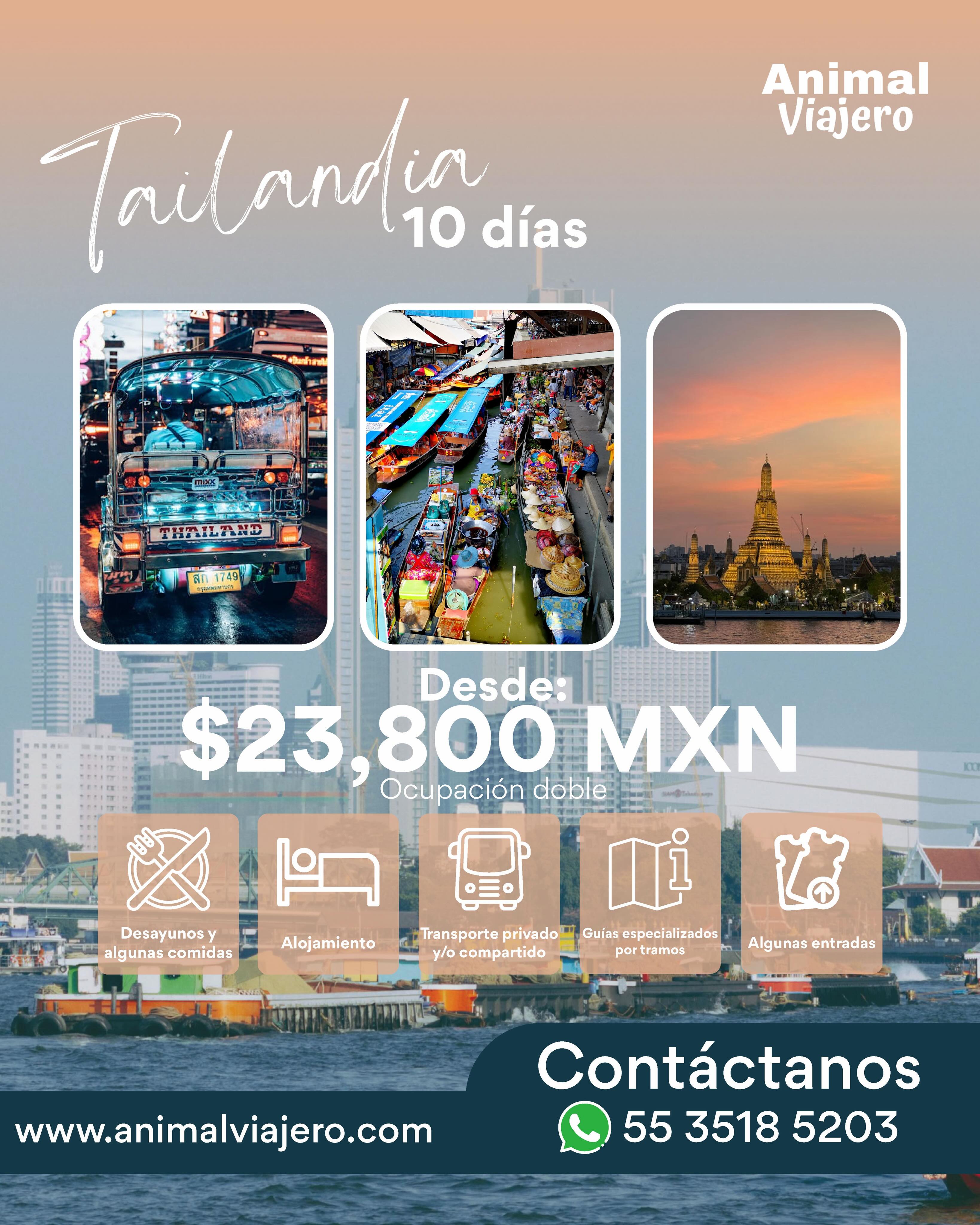 Explora las maravillas que ofrece #Tailandia, en este recorrido por sus ciudades culturales y sus icónicas playas 🏝️
10 días
Desde $23,800 mxn
Ocupación doble
#animalviajero #viajesatailandia #agenciadeviajescdmx