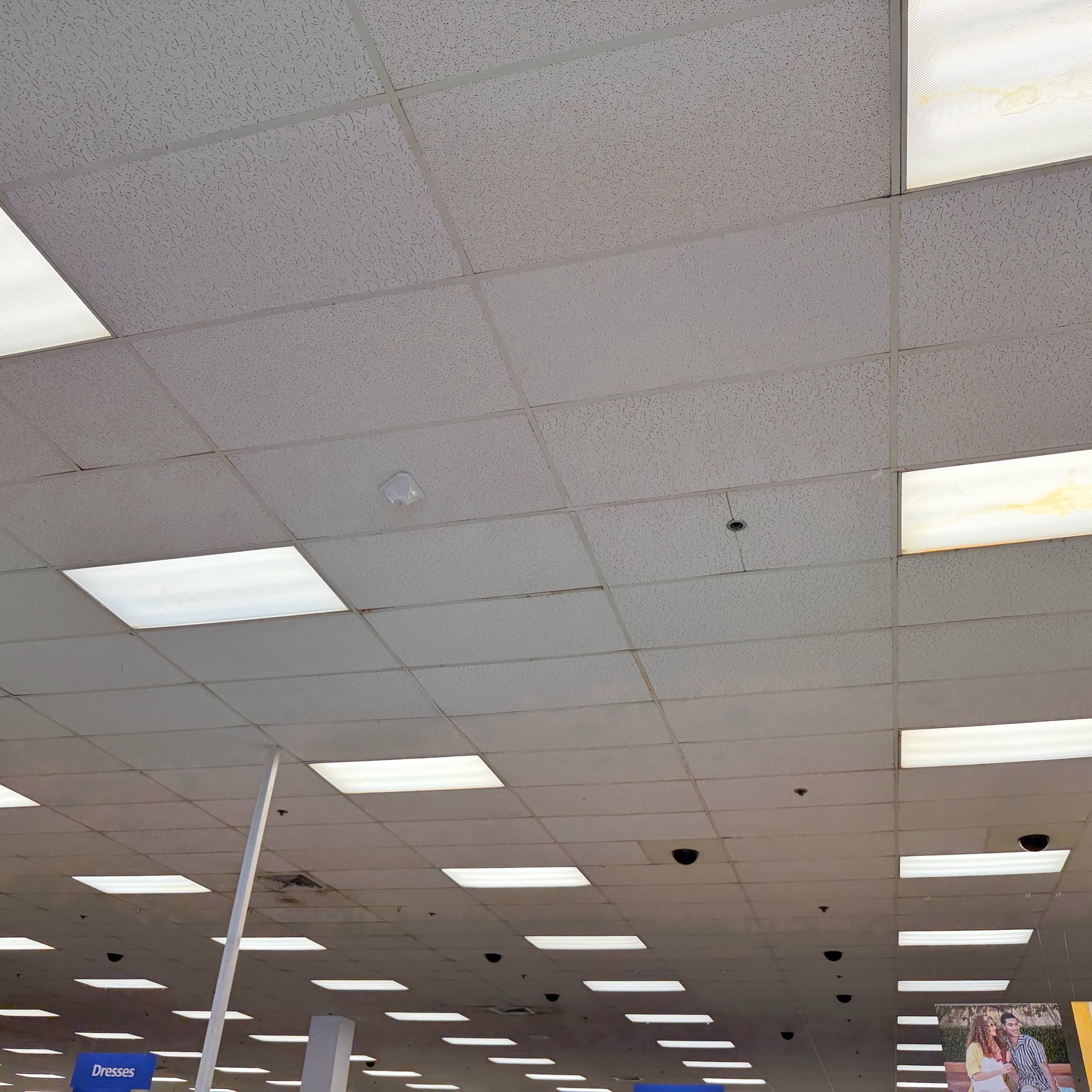 🔨✨ Another project completed! ✨🔨
Ceiling tile replacement done successfully 🙌
✔️ Cleaner look
✔️ Better finish
✔️ Fresh new appearance for the space
Nothing like a renewed ceiling to completely transform an environment 😎🏢
📍Work completed with dedication, attention to detail, and quality craftsmanship 💪
Thank you for trusting us! 🙏✨
#CeilingTiles #Renovation #ConstructionLife #Remodeling #CeilingWork #ProfessionalWork #BuildingMaintenance #BeforeAndAfter #Installation #Contractor