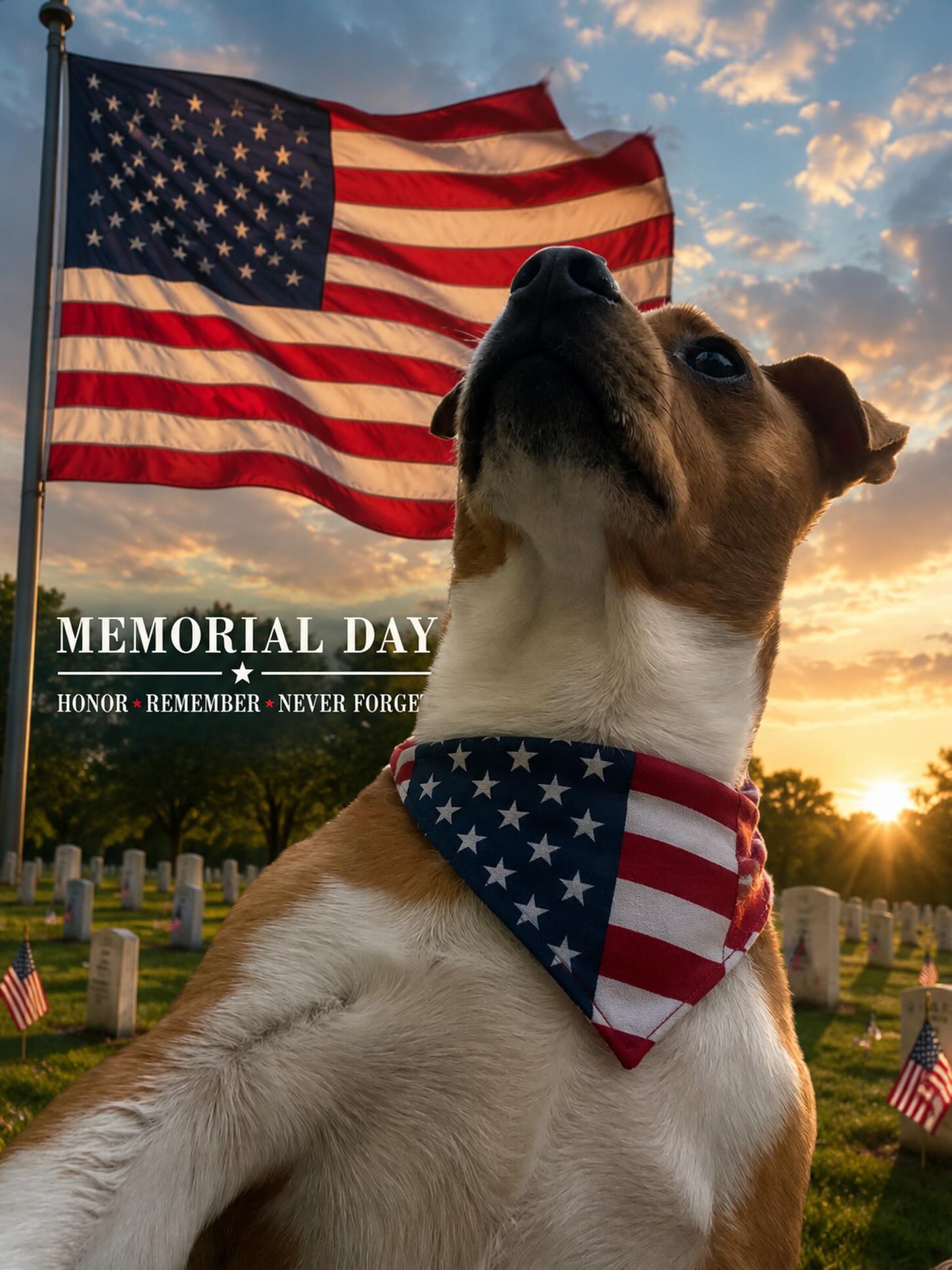 For all those who have served, sacrificed, and fought for our country — especially those who are no longer with us — we honor and remember you this Memorial Day.
Because of your courage and selflessness, we have the freedom to love, protect, and care for our families, our pets, and the lives we hold dear. Even the animals we rescue, heal, and cherish owe a quiet debt of gratitude to those who defended our freedom.
Today, we salute you with respect, remembrance, and heartfelt appreciation. 🇺🇸