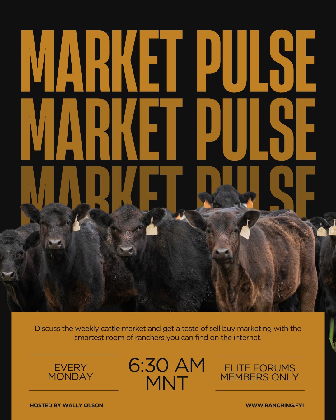 Market Pulse isn’t just a call…
It’s where you sharpen how you think about the market every single week.
Don’t take our word for it:
“I can’t believe this thing is only $10 a month.”
“This is the best way to start the week.”
“Wow, I had no idea I could learn so much this way.”
Because clarity early in the week?
That changes every decision that follows.
If you’re serious about understanding the market—not guessing at it—this is where you show up.
Follow @Ranching.FYI and join us Monday mornings to start your week with better thinking—and better decisions.
#ranchingfyi #sim2win #marketpulse #cattlemarket #decisionmaking