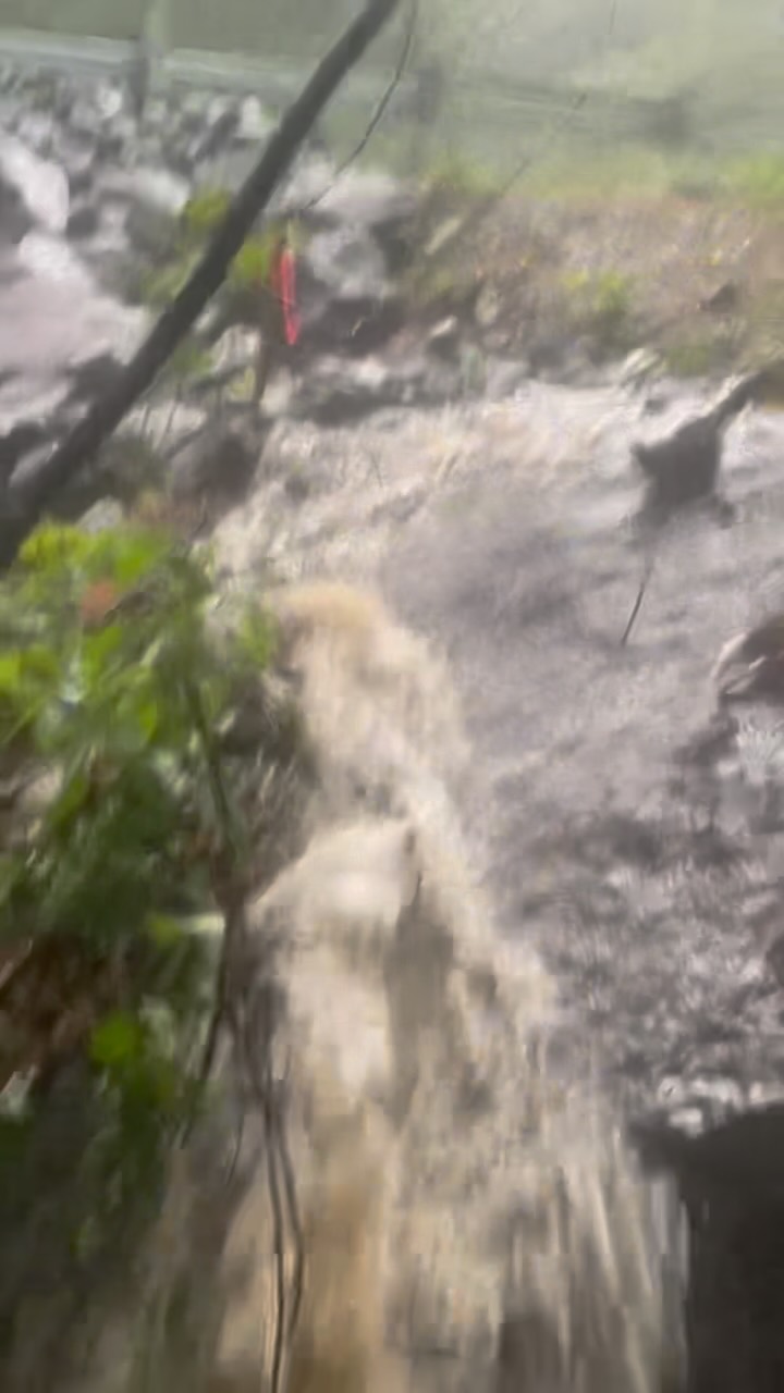 Warning: some f-words are dropped in this video. @ncdotcom and @wrightbrosconstruction how does one recover from your “road repairs” when we are still feeling knocked down from #hurricanehelene?
Ya’ll. You know me and B. We smile through it all. When people ask how recovery is going, we just skim by how things really are…… but THIS….. we are beyond frustrated and defeated.
After months of road repairs (drilling, the house SHAKING, the dogs freaking out, dirt dust EVERYWHERE, constant bangs as trucks drive over the temporary road plate, rock trucks FLYING down 74A) this is the result.
A freaking waterfall through our property.
We have spent $$$$ repairing the drainage around the house and business. All has been working PERFECTLY until now. This is the first big rain since the culvert “repairs.” Our basement is flooded, which means our NEW drainage is now clogged. New rock for the driveway and our time to repair is costly. Businesses in our area are struggling. How does @ncdotcom and @wrightbrosconstruction expect us to recover with this going on?!