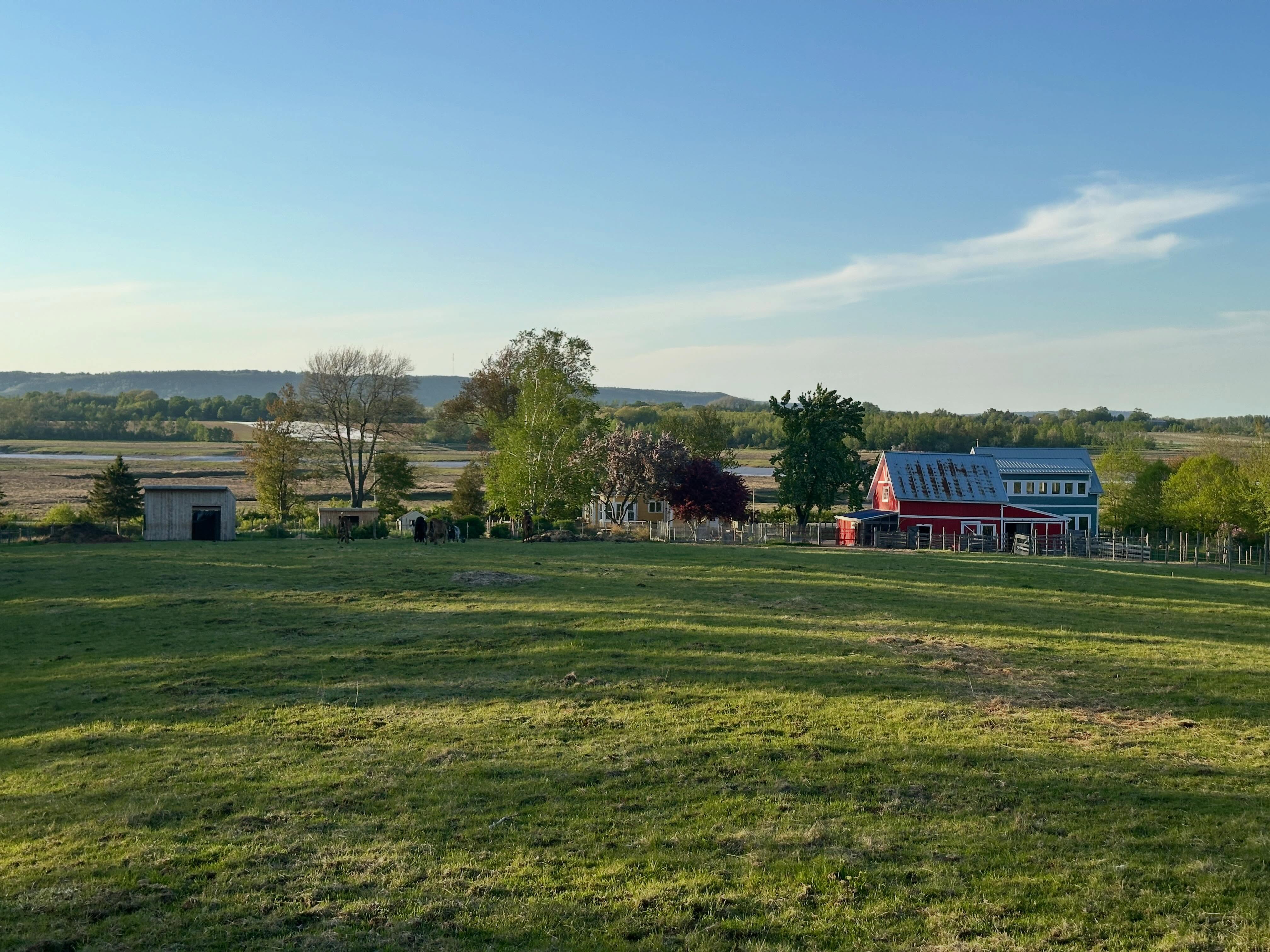 It always nice looking down on our property. Most of the time we’re down below by the house and barn so it’s always nice to see this viewpoint.
This main pasture is looking a little worse for wear at the moment. We’ve got to do some work on it to bring the grass back to life, so we’ll soon be fencing the goats off of it. They shouldn’t mind though as we’ve opened up the wooded pasture for them.
