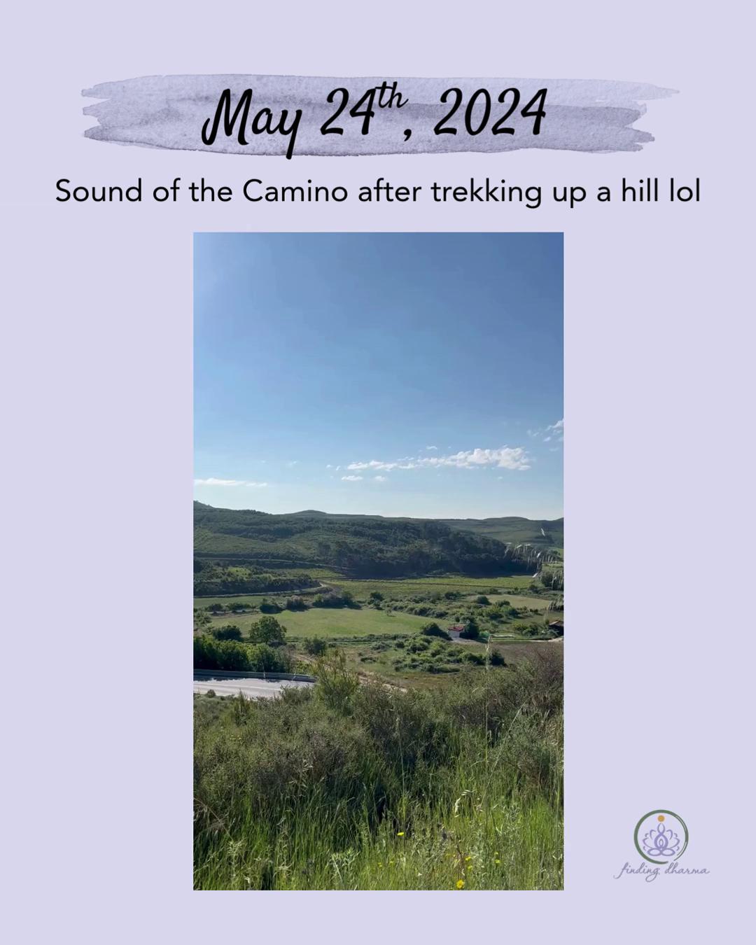lol sometimes the sounds of the camino are me out of breath - but I wanted to show the beehive ruins that dot the Way in wine country
#CaminoFrances #MayCamino2024 #JourneywithMe #findingdharma