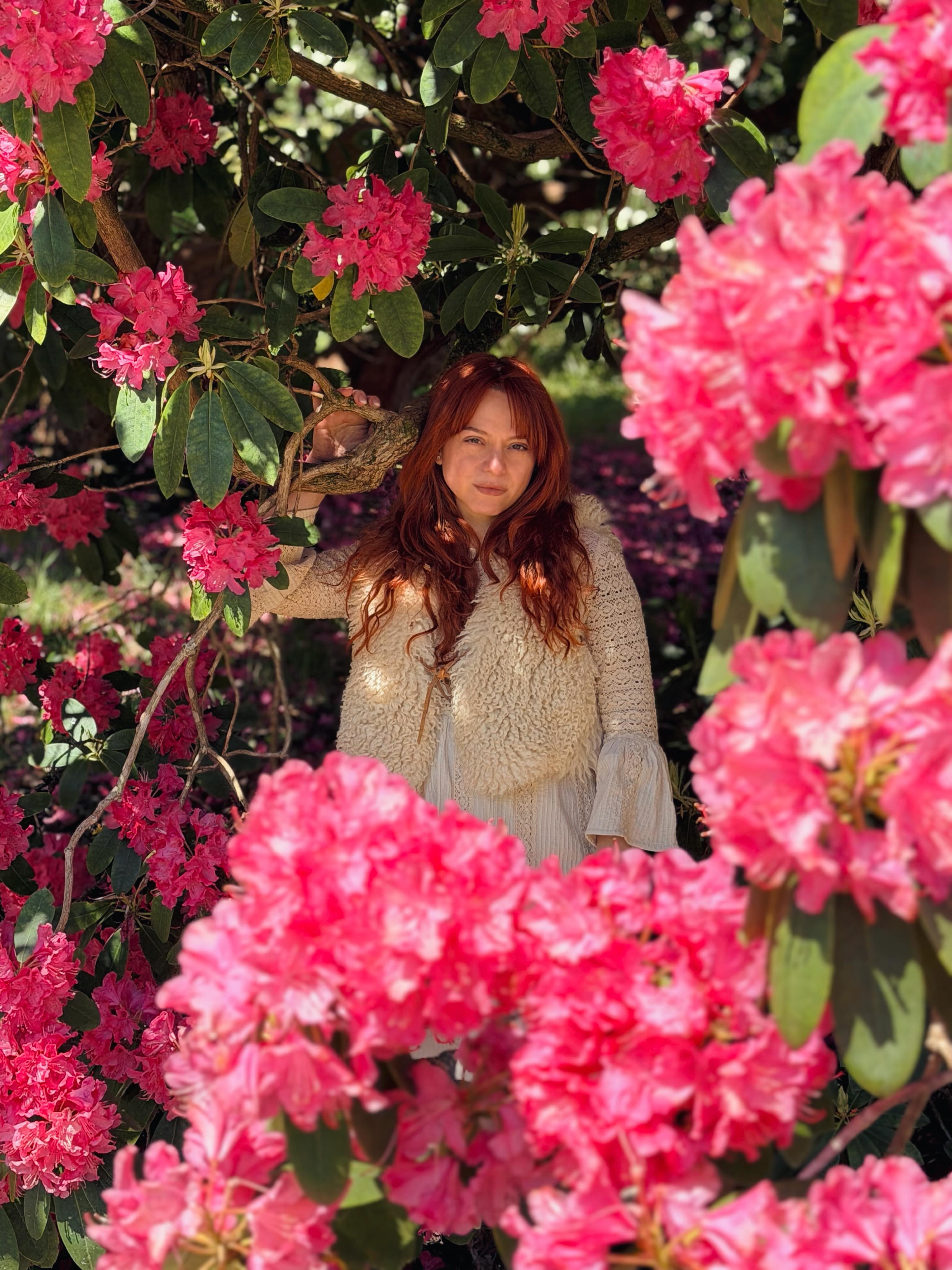 🌺🌺🌺