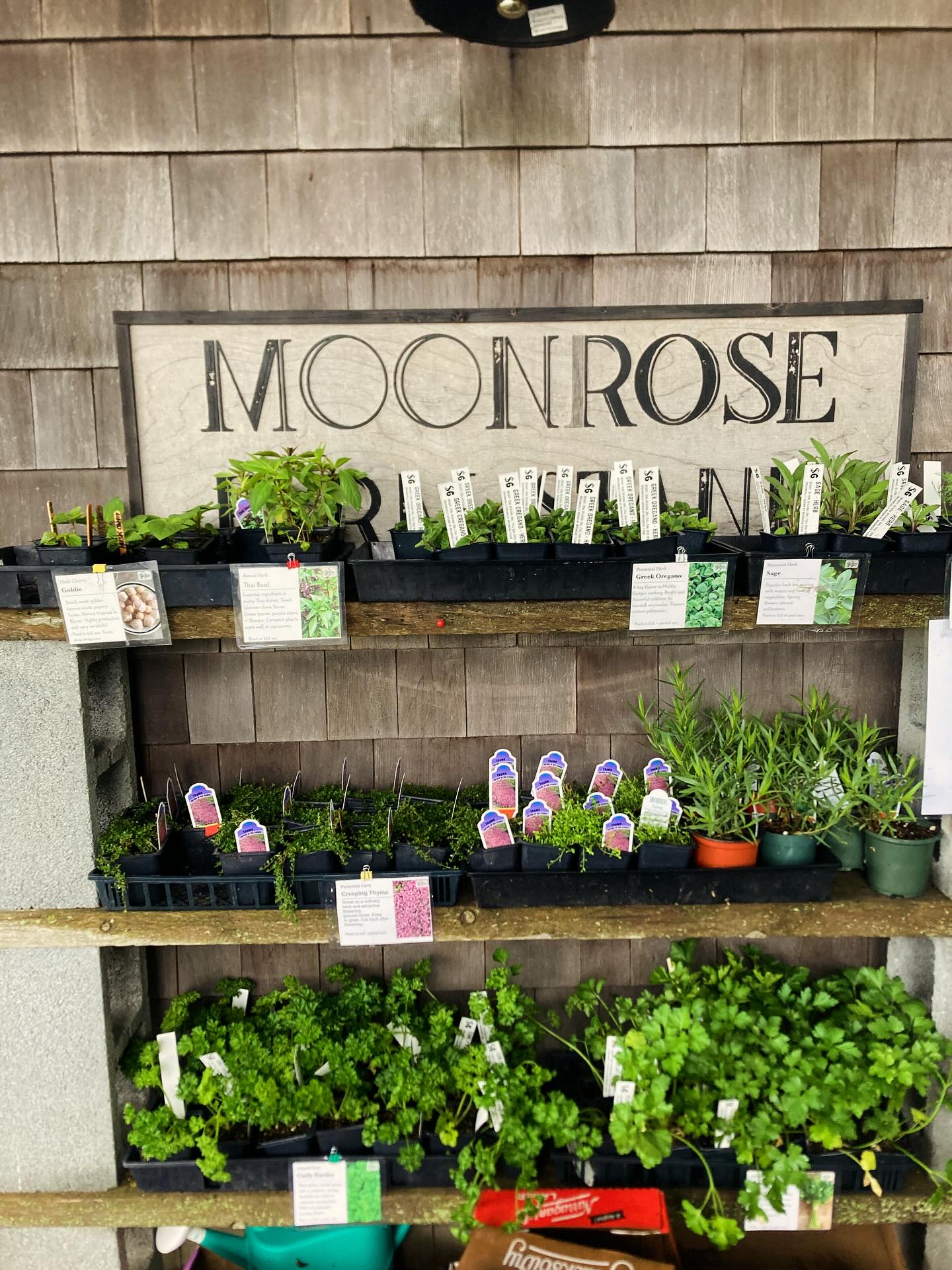 We’re opening for HONOR SYSTEM - PLANT SALE throughout the week! Open Monday-Thursday 9-4 for anyone who couldn’t make it this weekend. Cash or Venmo. Still a good variety!
