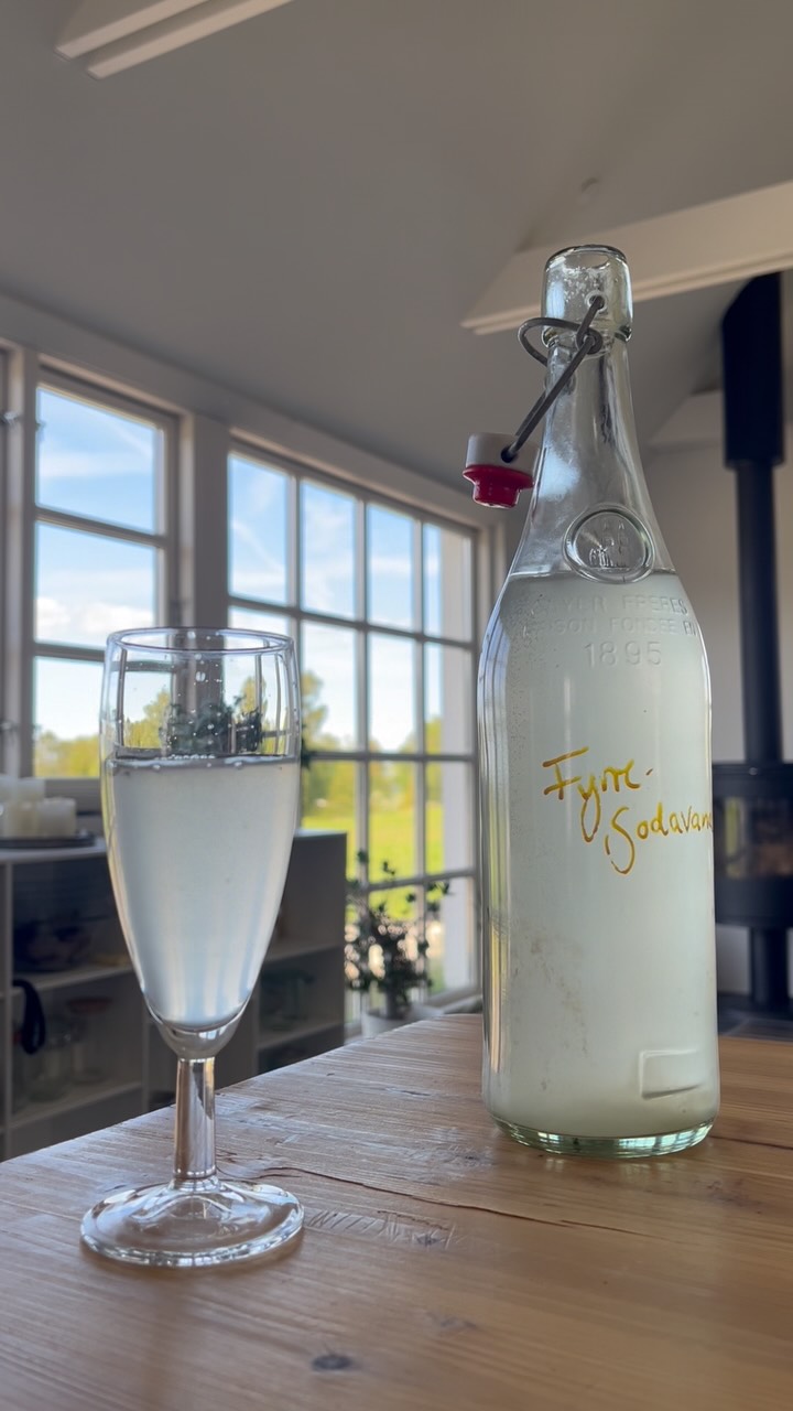 Jeg elsker at eksperimentere med fermentering. De allerbedste resultater får du lov at smage på min fermenterings workshop.
Når først fermentering kommer ind under huden er den en fantastisk verden af smag og leg du får ind i dit hverdagskøkken 🙌💚💫
Næste fermenterings workshop er 22/6, der er stadig plads til flere. Det er en aftenworkshop, hvor vi slutter af med et måltid, hvor fermenteringer indgår 💚
Skriv hvis du vil have et link 🔗