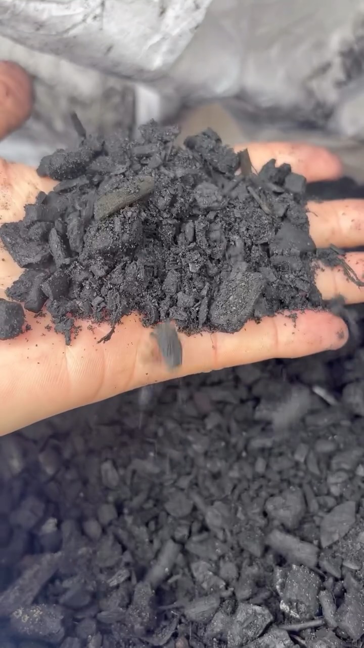 Biochar is BACK 🔥🌱
We inoculate our North Florida biochar with vermicompost tea to supercharge microbial life in the soil.
Now available at Lion Farms 🦁🌴