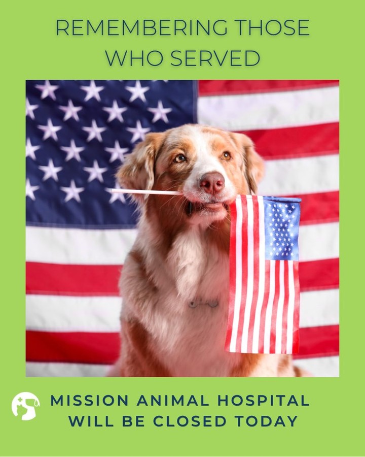 Mission Animal Hospital will be closed today in honor of Memorial Day.
While we take a moment to reflect and remember, we hope you and your furry friends enjoy a safe and restful holiday.
We’ll be back on Tuesday, May 26!
#MemorialDay #MissionAnimalHospital #PawsForRemembrance