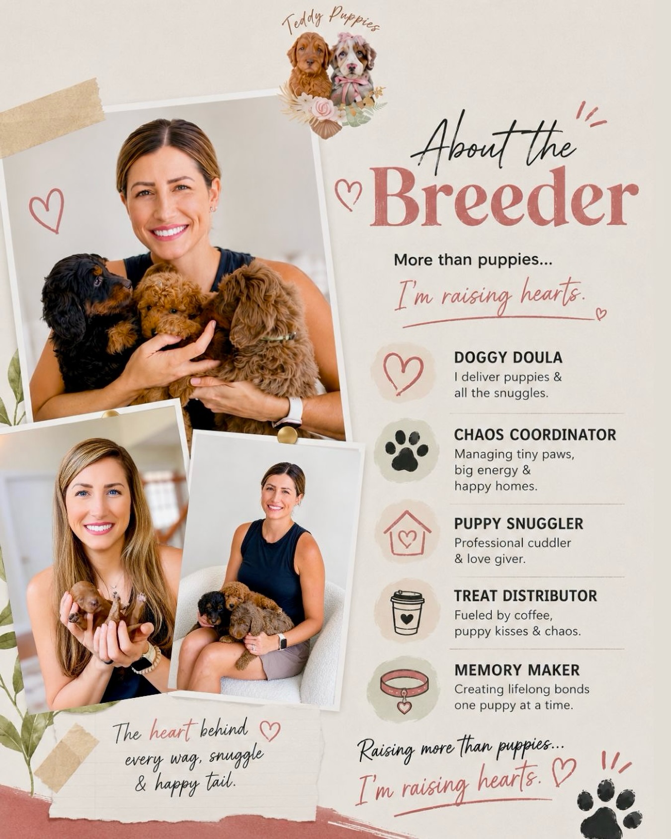 Hi, I’m Elise — the human behind Teddy Puppies.
I’m usually somewhere chauffeuring dogs, going for long walks, going to church, chasing my two wild boys around the house… and cuddling puppies in between.
I’ve loved dogs for as long as I can remember. My very first word as a baby was actually our family dog’s name, Boris. Honestly, I think everyone around me knew this was coming before I did.
Years ago, after unexpectedly losing my mom, I walked through a season where I deeply needed comfort and healing. Somewhere in that journey, I found mini goldendoodles — and they genuinely changed my life.
That’s the heart behind Teddy Puppies.
I truly believe dogs are more than pets. They become emotional support systems, safe places, little sources of joy during hard seasons, and companions people carry through life with. In many ways, Teddy Puppies are exactly what the name says… teddy bears for adults. 🤍
What started small quickly became something our whole family poured into. My husband Kris now helps lead training through Proper Dog Academy, and together we’ve built Teddy Puppies around health, temperament, confidence, and raising puppies that are truly prepared for real family life.
Today we’re supported by an amazing small team of helpers, volunteers, and incredible guardian families who help our dogs thrive in loving homes instead of kennels.
More than anything, we care deeply about the families behind every puppy application and every adoption day. Because around here, we’re not just matching puppies—we support you on your lifelong journey with your best friend.
We’re grateful for your trust in raising your future snuggle buddies, emotional support systems, service dogs, and lifelong family members.
If you ever need anything, feel free to send me a message or text at 331-218-8696.