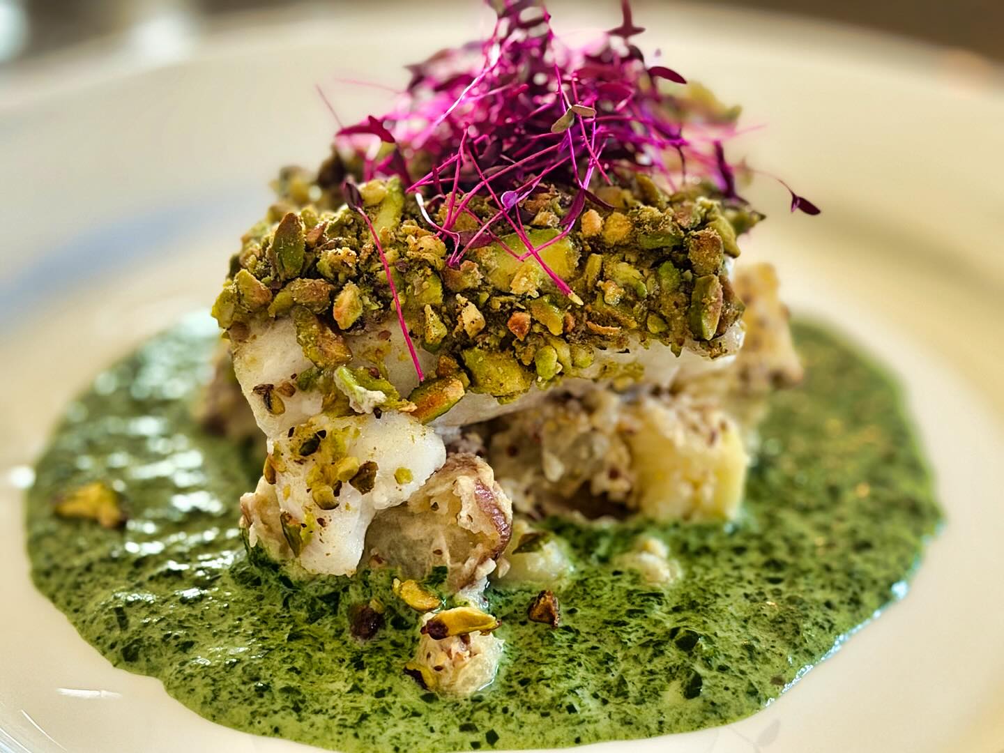 Our Microgreens and edible flowers in action with Pepper Custom Catering
🌱
🌱
🌱
🌱
🌱
#redgarnetamaranth #borage #edibleflowers #vancouverislandfoodculture #microgreens