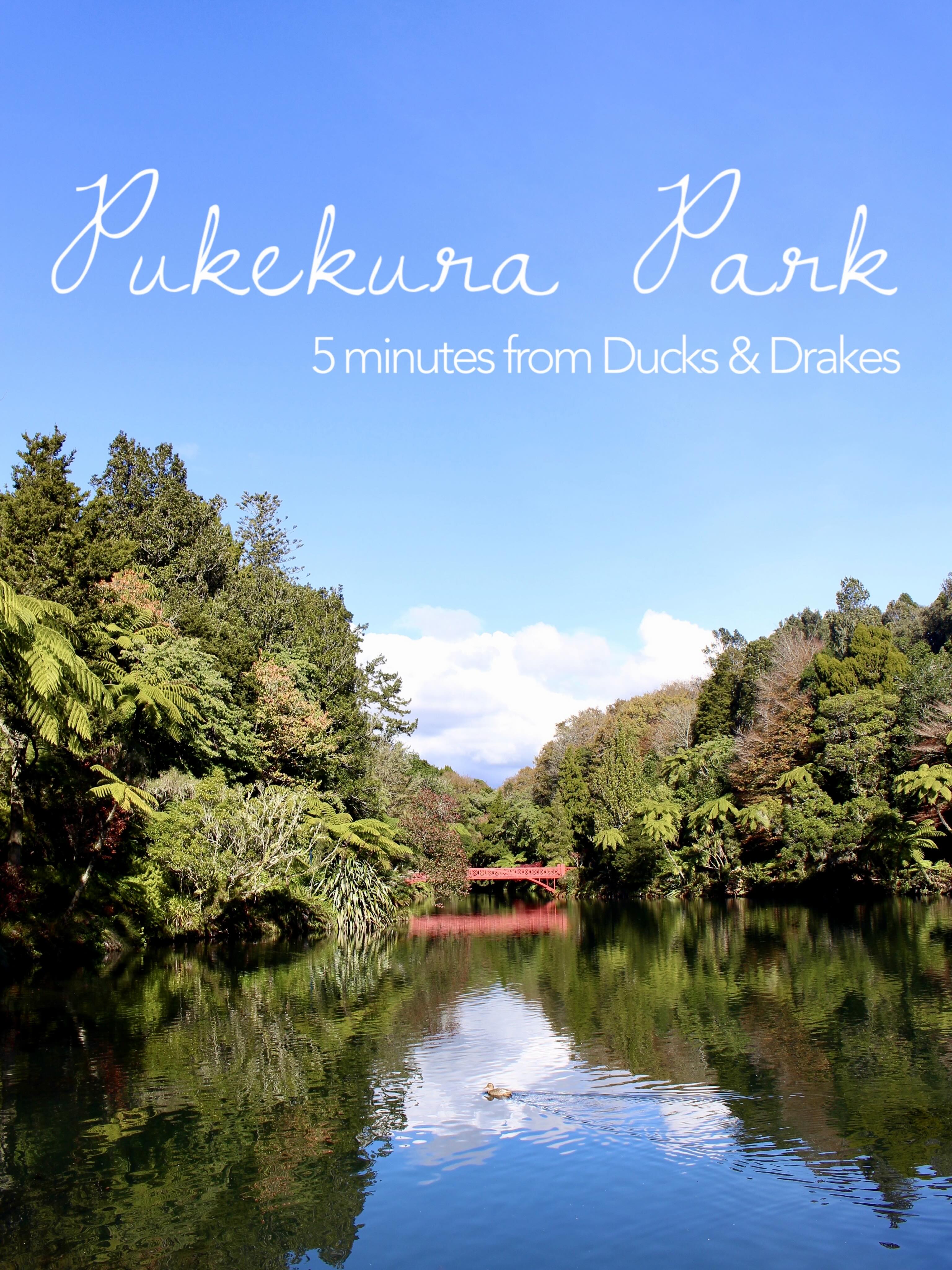 These photos are just a tiny glimpse of Pukekura Park 👀
There’s so much to explore and the best part is that it’s just around the corner from Ducks & Drakes! 🌳🦆