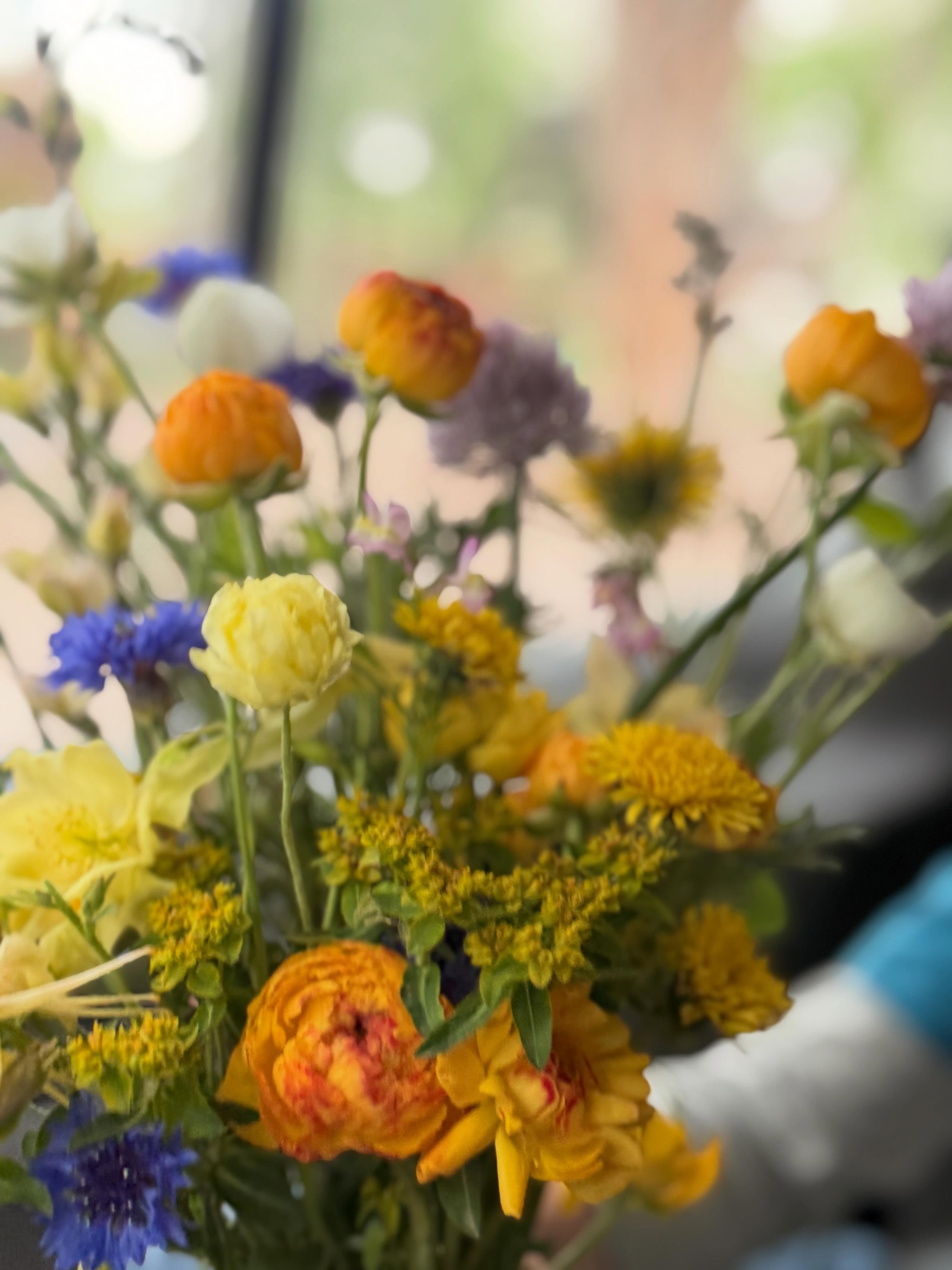 Just some spring blooms from my camera roll. 💛 Ask me how I track what I have? It’s in my photos folder. I love spreadsheets, but don’t always have the time on the farm to stop and add data. Do you have a favorite way to keep track of things?