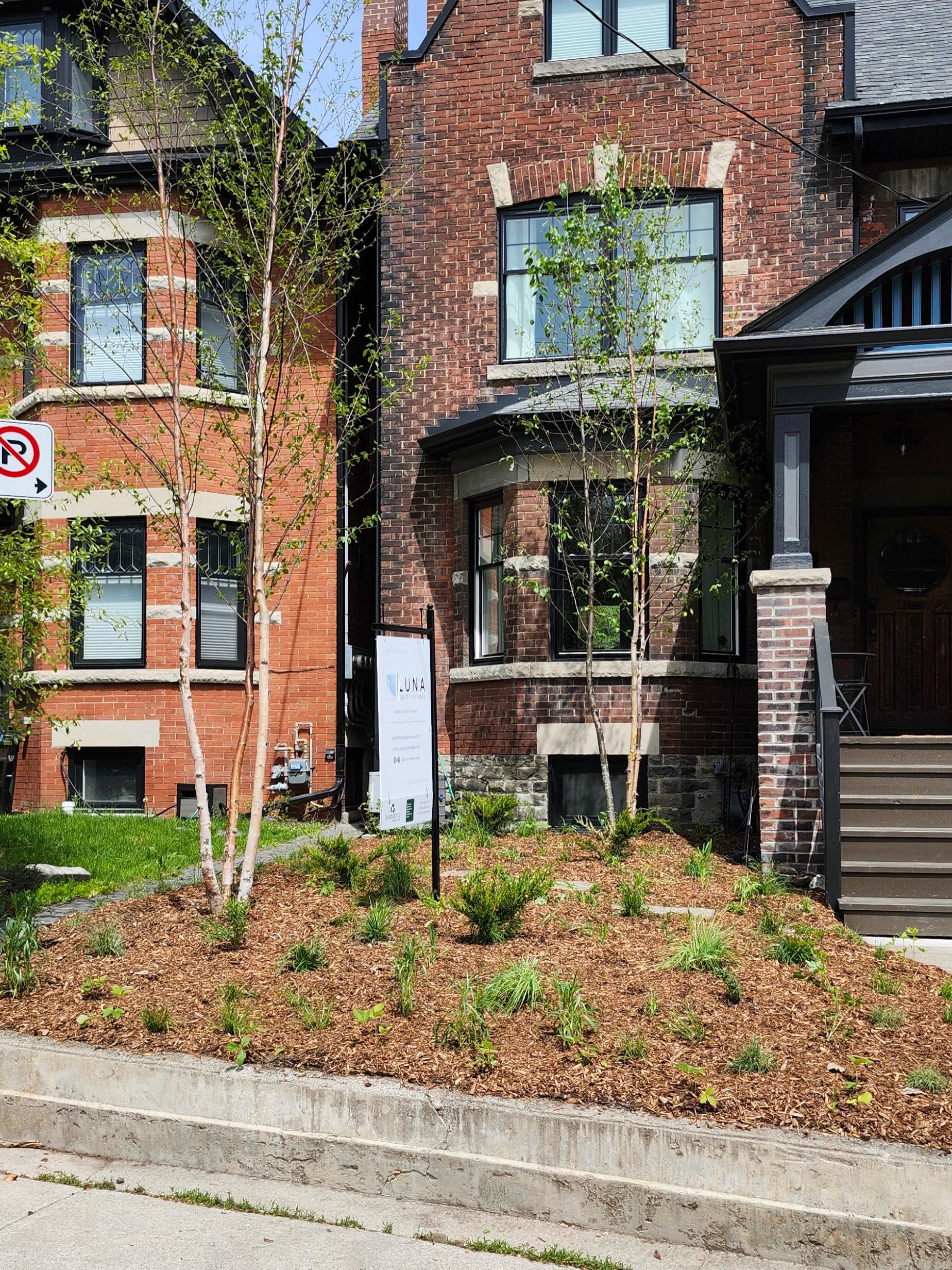Trading turf for habitat! 🌿
We smothered this front lawn to make way for pollinators, biodiversity, and a whole lot more life 🐝
#lunagardenscapes
#nativegarden
#torontogardens
#torontolandscapes
#womenintrades