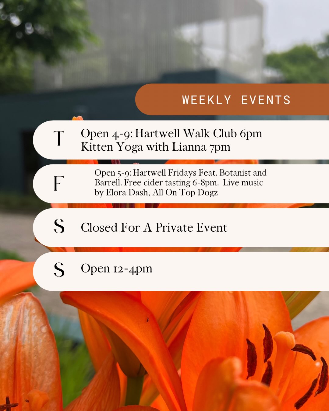 This week at Hartwell! Hartwell walk club returns this Thursday at 6pm followed by #kittenyoga with @liannalee_yoga benefiting @friendsofwcac! This class is sold out but keep an eye out for future events.
Cider Friday with our friends at @botanistandbarrel! Join us for a free cider tasting from 6-8pm, live music by @elora.wav and dinner by @allontopdogz
See you soon!