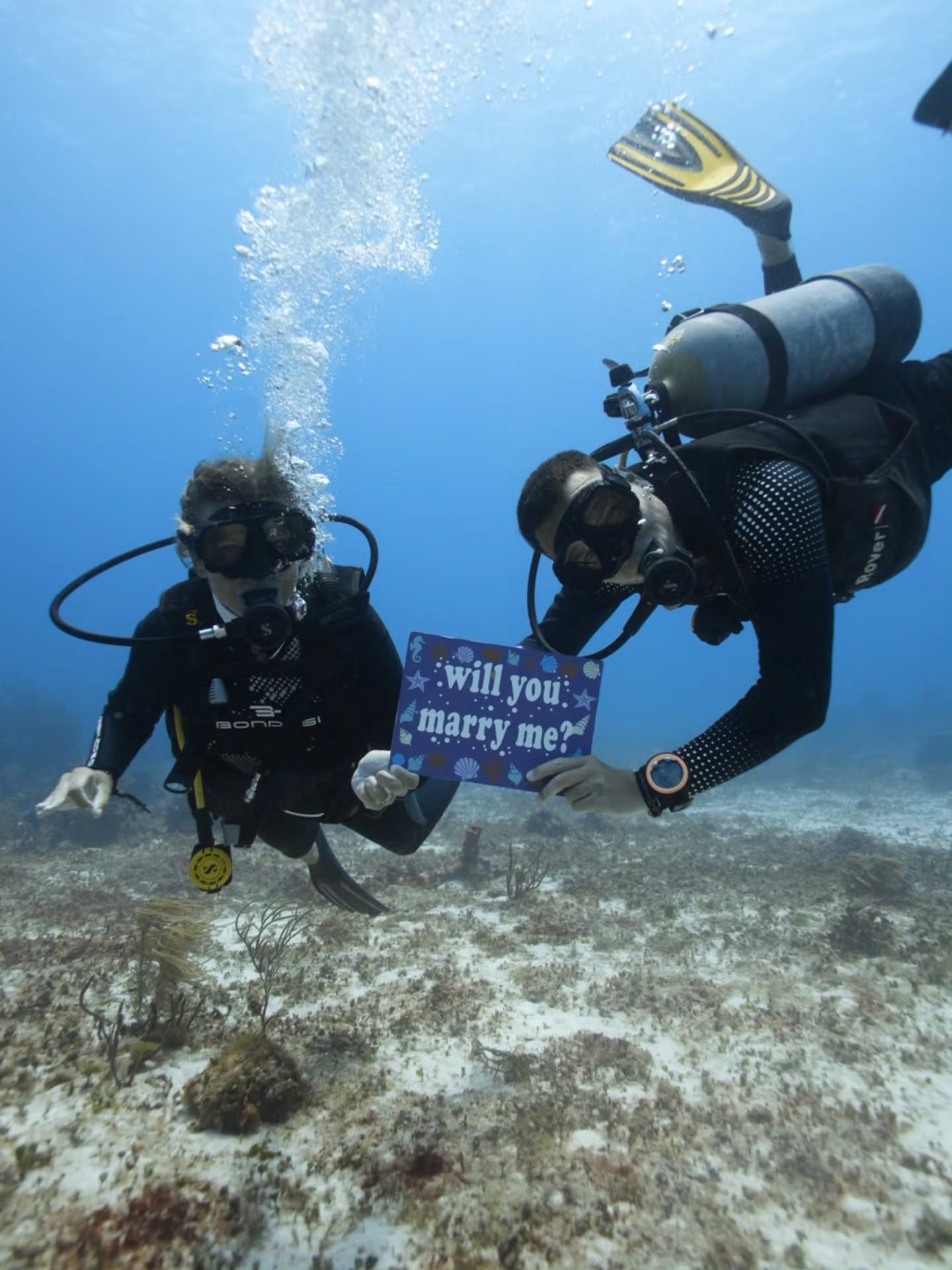 A little recap of what diving in Cozumel is really about 👌🏽
New certifications. Big smiles. Family adventures. Surprise proposals. Endless blue water. 🤿
Some came here to dive…
and left with memories they’ll talk about forever. 🌊
Ready to make your own underwater story with us?
#aldoradivers #DiveCozumel #cozumel #CozumelDiving #diving