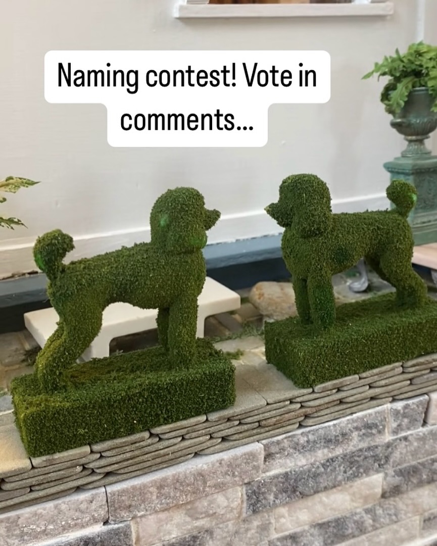 Gardening season is starting here in Brattleboro, VT. And its time to welcome our delightful doggie topiaries from Jonathon of @homminiatures.
What do you think of Itsy and Mitzy? Or Bella and Gardner? Perhaps something more fur-ocious for the guard dogs of the ItsyBella Stewart Gardner Museum?
Comment below for your chance to win a guided tour to the Brattleboro Festival of Miniatures this holiday season!
#namingrights #minigardening #minimuseum #festivalofminiatures #brattleborovt