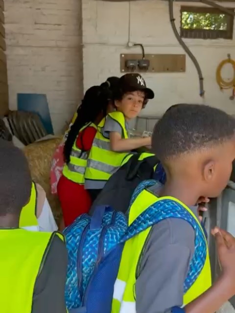 Today our juniors went to Hackney city farm to see the animals