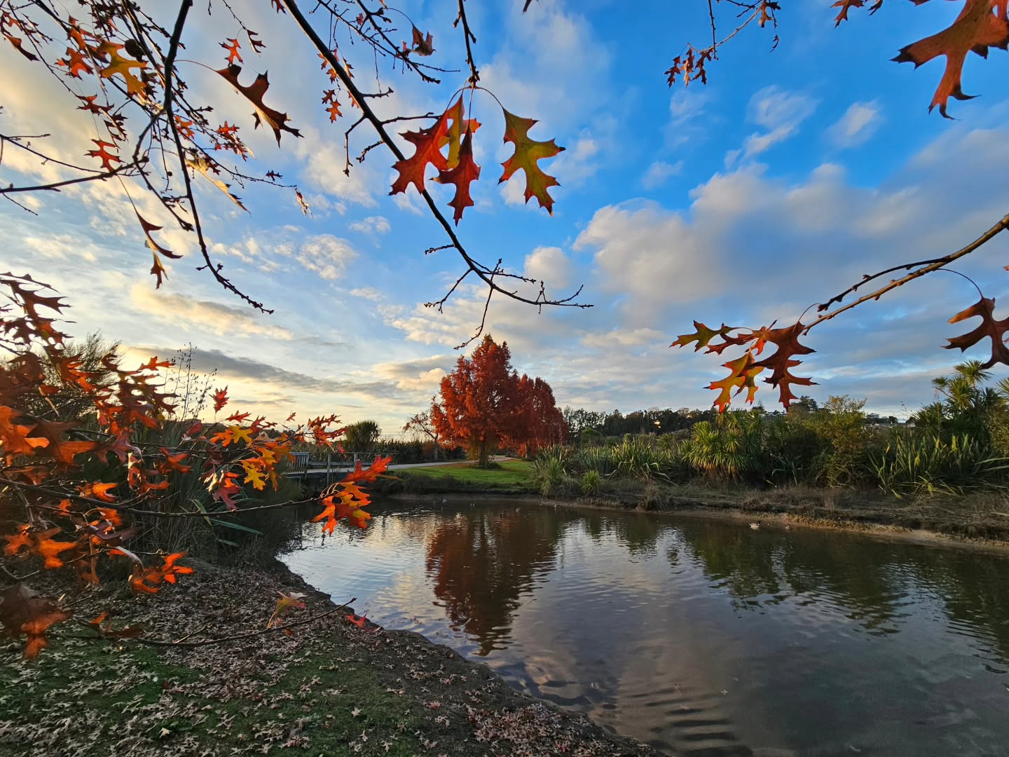 Late afternoon walk in my local reserve, enjoying the late Autumn colours being lit by the late afternoon sun adding to the peace and serenity.
#autumncolours #autumntrees #inspiredbynature #urbanwandering #reflections