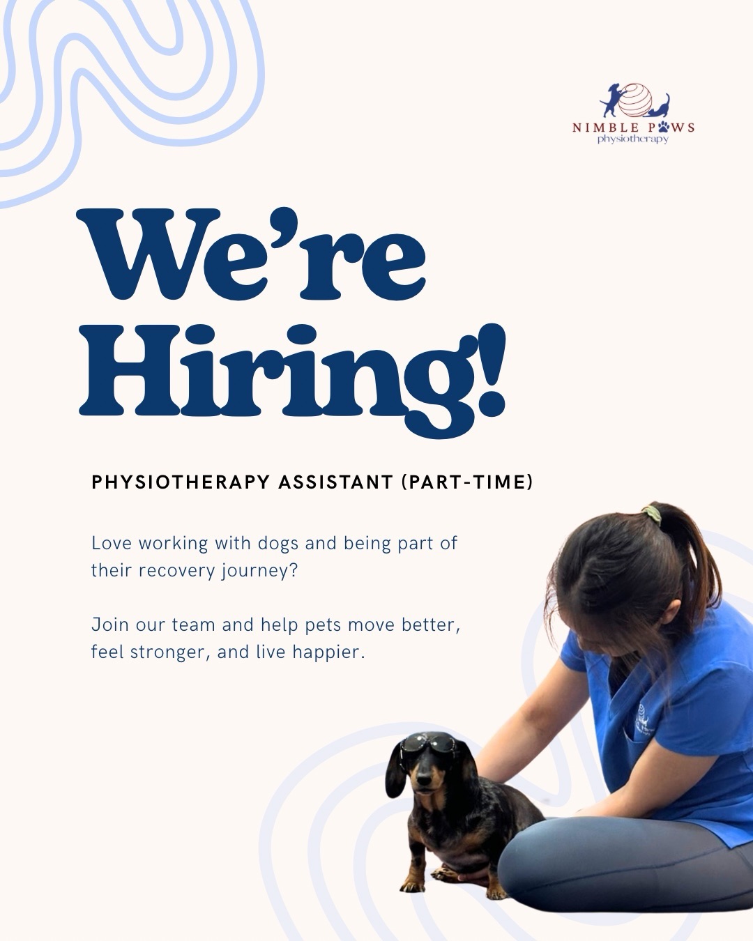 We’re growing!
We are looking for a part-time physiotherapy assistant to join our team 🤩
At Nimble Paws Physiotherapy, we work closely with dogs and cats through rehabilitation, recovery and movement support. This is a hands-on support role where you’ll work alongside our physiotherapists to help keep sessions and clinic operations running smoothly.
No prior physiotherapy experience is required, training will be provided. Experience working with animals is a bonus, but reliability, professionalism and willingness to learn matter most to us.
If you enjoy working with animals and would like to be part of their recovery journey, we’d love to hear from you.
📩 Send your CV and a short introduction to:
hello@nimblepaws.sg
Please note that this role includes regular part-time shifts, including Saturdays.
#nimblepaws #sgdogs #sgpets #dogjobs #animalcare dogphysio caninerehab sgcareers