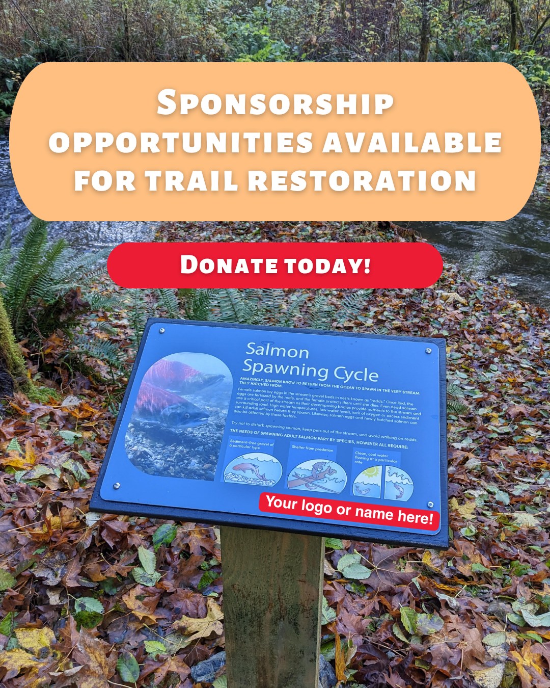 As we get closer to breaking ground on this trail restoration, we're excited to share examples of what our trail signs will look like! We have sponsorship opportunities available that are a great way to give back to The YES and leave a lasting legacy.
If you're not able to sponsor a sign at this time, any donation amount helps restore the trail and bring back an important part of The YES Camp experience. Every dollar makes a difference, so give what you can!
Donate now at the link in our bio!
#TrailDays #TrailRestoration #BCTrails #BC #SummerCamp #OutdoorEducation