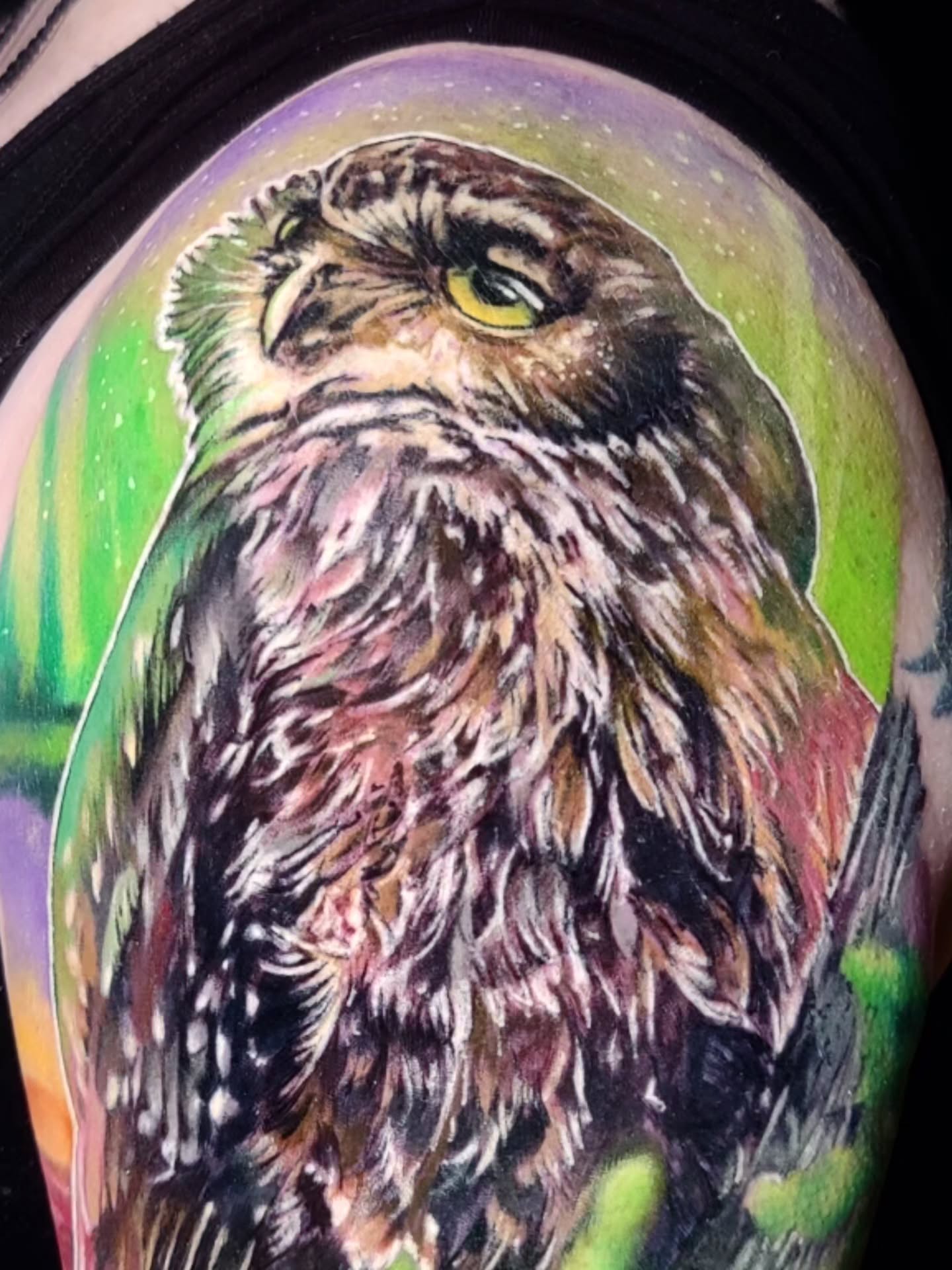 Awesome little sleepy Ruru we did in a couple of days for lovely Heather! I have tattooed her a few times before and we are slowly adding to her sleeve of birds.
Thaaaanks
.
.
..
@intenzetattooink @eztattooing @ghostlineapp @afterart.newzealand @inkpro_nz @fkirons @hustlebutterdeluxe #intenze #intenzeink #intenzeteam #afterart ghostlineapps