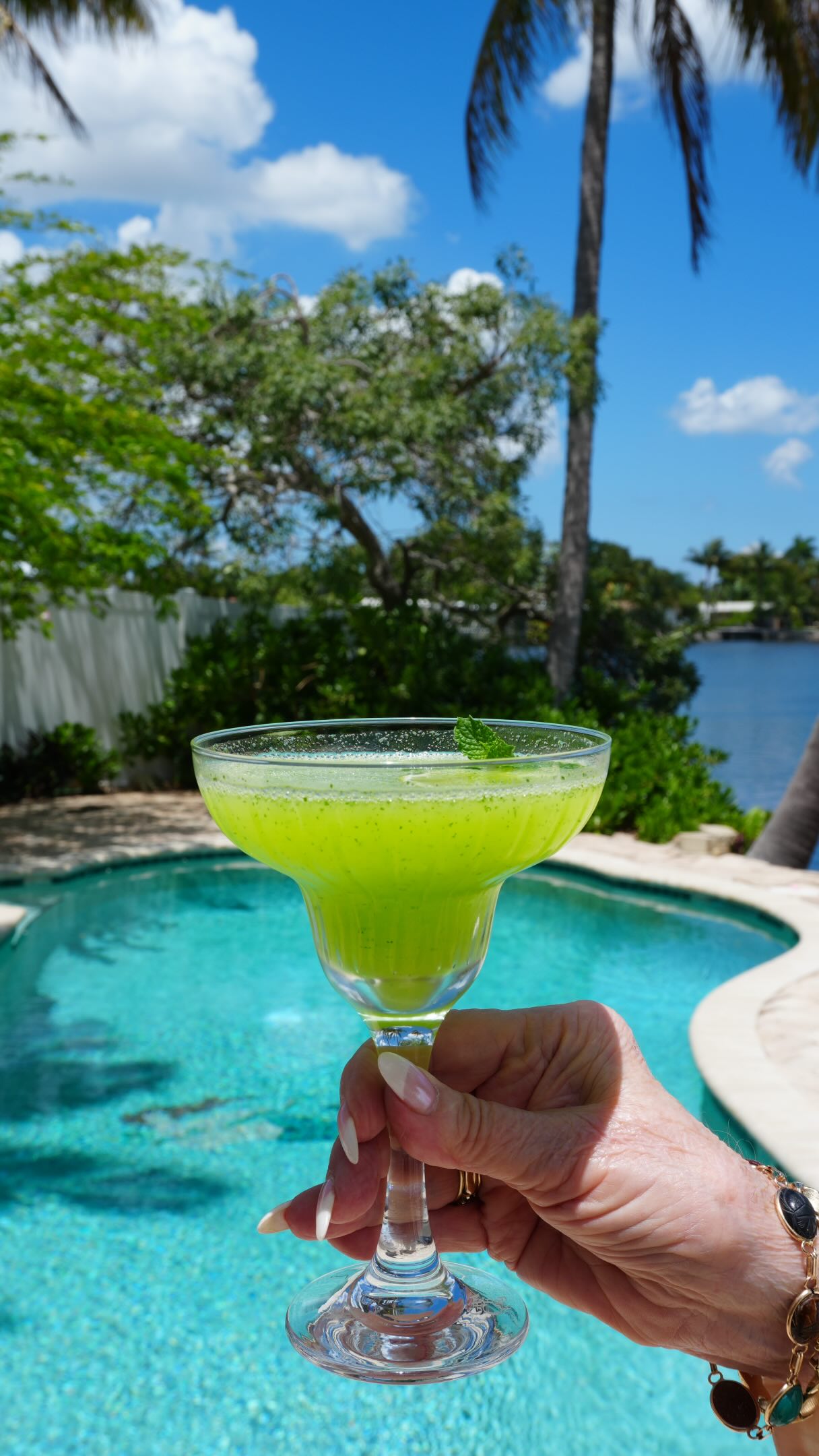Thereās something impossibly refreshing about ice-cold melon. It feels luxurious and innocent at the same time. I wanted it to feel elegant enough for a stemmed glass but relaxed enough that you could drink it barefoot beside the pool with music drifting through the air and absolutely nowhere important to be.
Recipe below and in my Substack at Lenorenolanryan
1 cup frozen melon cubes (cantaloupe, honeydew, or a mix)
2 ounces vodka
1 ounce Midori
2 ounces orange juice
1 ounce fresh lime juice
1 teaspoon ginger purƩe
Small handful of fresh mint leaves
Ice
Add the frozen melon, vodka, Midori, orange juice, lime juice, ginger purƩe, and mint leaves to a blender. Blend until smooth, icy, and luscious. Add a few cubes of ice if you want it thicker and frostier. Pour into chilled stem glasses (mine are from @graceeradesign ) and garnish with fresh mint, a melon wedge or melon ball, and a little lime wedge perched dramatically on the rim. Serve immediately, while icy-cold and glowing like summer itself. Enjoy!
#melon #cocktail #frozendrink #summerdrink #recipe