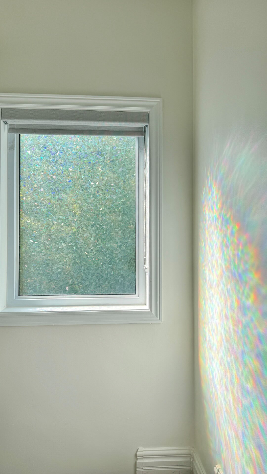 this is your sign to add rainbow film to your windows… when the sunlight hits, you get the prettiest reflections ✨🌈
Linked in my bio on Amazon or LTK.
#colourfulhome #decorideas #amazonfinds #windowfilm #diydecor
privacy film, amazon home, affordable finds, rainbow film, dopamine decor