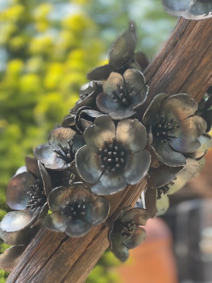 Our @dorsetartweeks continues again today with more wonderful visitors enjoying the gardens in the sunshine āļø
Come along and see the secrets that lie within our picturesque English garden set in the heart of the Dorset countryside and listen to the birds sing š
Venue number: 285
Postcode: DT9 5PN
#dorset #art #sculpture #visitdorset #countryside