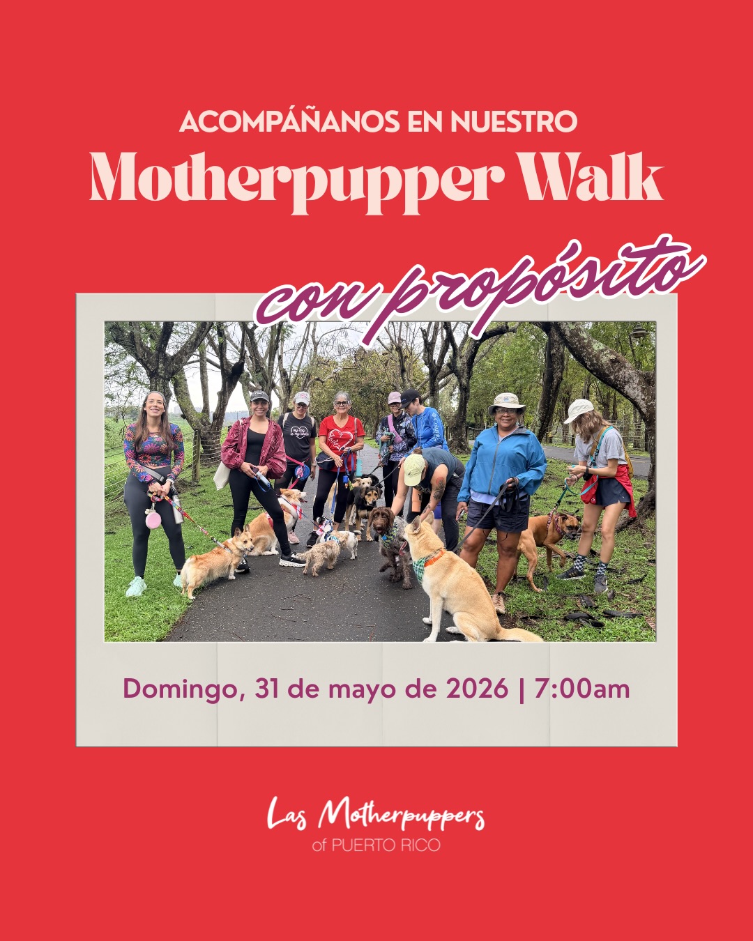 Reminder para todas las dog moms 🐶
Este domingo 31 de mayo nos vemos en nuestro próximo Motherpupper Walk a las 7:00am 🌺 Deja un 🧡 en los comentarios si quieres más detalles.
Vamos a pasar una mañana linda entre dog moms, caminar, conectar con la naturaleza y darle la bienvenida al verano junto a nuestros pups.🐾 Puedes venir con o sin perro y también traer una amiga.
Además, esta caminata tendrá un propósito especial 🙏 @farodelosanimales está pasando por un momento económico difícil y queremos apoyarlos entre todas.
Estamos sugiriendo un donativo de $5 que pueden enviar directamente por ATH Móvil a El Faro de los Animales y luego enviarnos screenshot del donativo. Yo personalmente voy a hacer match del total recaudado. ✨
El donativo NO es obligatorio para asistir, pero cualquier ayudita suma muchísimo.
Importante:
❌ No perros agresivos
❌ No perritas en celo
Habrá sorpresitas así que por favor confirma tu asistencia para poder tener un conteo final de quienes asistirán. ✨
#dogmomsofpr #puertorico #dogmomwalk #dogmomclub #dogsofpuertorico