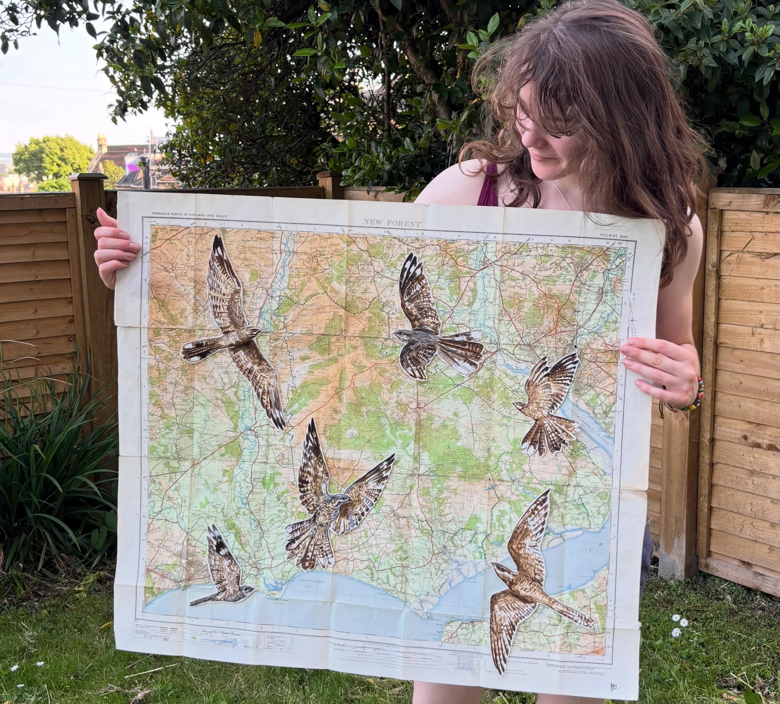 Fill this sky
A more positive #wildlifeartivism piece - the elusive nightjar has inspired many myths and legends around the country, and although it declined steeply throughout the 1900s, it has been steadily *increasing* in its population (and range) since the 90s!
A @btobirds study showed that breeding nightjars increased 36% between 1993 and 2004, and this increase has been continuing in recent years!
Whilst leading a workshop/talk for @wildnewforesttours recently, it was so wonderful to hear more nightjars from the staff & fantastic children we were working with.
Despite never having seen one myself, I have managed to hear their eerie call, and caught glimpses of their shadowed forms whizzing through the night.
The New Forest is a particular strong hold for nightjars, so for this piece, I wanted to depict nightjars in full colour, descending on @newforestnpa - showcasing a conservation success story 💚
P.s. swipe for the reality of trying to take a nice photo of ma map when it’s actually very windy
.
Arty bits: @dalerrowney1783 FW acrylic inks on @archespapers ; fixed onto a 1920s @ordnancesurvey map of the new forest
.
.
.
#mapart #bird #art #nightjar @rspb @thewildlifetrusts @birdlife.international @birdlife.europe @nightjarevents @singingwithnightingales