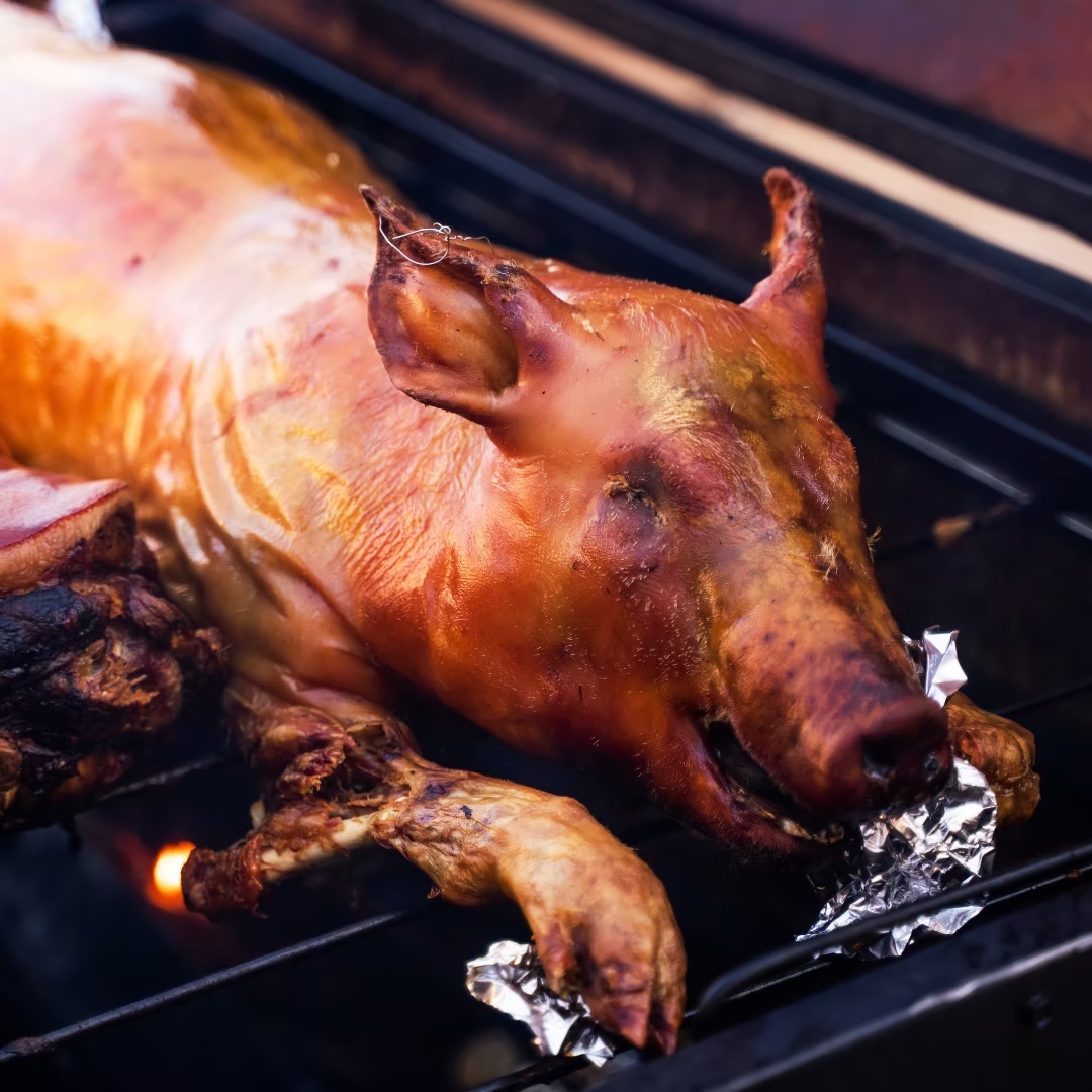 Planning a Fourth of July cookout? Go big. Our Whole Hog Preorders are open! 🐖
Raised on pasture, fed the right way, and ready to be the centerpiece of your summer spread. Whether you're smoking it low and slow or cooking for a full crowd, this is the kind of meal people remember.
Limited availability, so don't wait! Preorder now at hibraubeef.com/whole-hog
#HiBrauBeef #WholeHog #FourthOfJuly #CookoutSeason #PastureRaisedPork