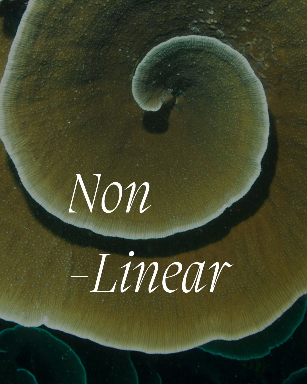 Non-linear ~ Spiral ~Cyclical
More and more I see how little in life linear.
Often I want to believe that the path from A - B is a straight line.
I know it isn't, yet it's easy to fall into the comfort of believing that it could be.
We move through life measuring our progress by marking milestones, achievements, endings and beginnings. Growth can appear linear.
And yet, how often do we find ourselves returning to something we thought we had already moved beyond?
I have been observing for many years how life unfolds in cycles. We revisit familiar themes, relationships, questions, and lessons. And this is not because we are going backwards, but because life moves more like a spiral than a straight line.
I recently came across the Ancient Greek concepts of time which I found helpful in approaching time/life in a more non-linear way.
✨Chronos — chronological, linear, measurable time. The time of clocks and calendars, planning and scheduling, the structure that supports our routines.
✨Kairos — qualitative time. The time of meaning, presence, and possibility. It is the moment when something feels aligned, or deeply significant. In kairos, our experience can transcend ordinary clock time, and we might connect with insights, wisdom, or a sense of timelessness that reaches beyond the immediate present.
The Kairos understanding of time brings a lot of depth. It’s a reminder that a single moment can contain an entire world.
I keep having to remind myself about the non-linearity of life.
I know it.
Then I understand it.
Then I live it.
Then I forget it.
Then I remember it again.
I know it, I Iive it and so on.. This is quite the nature of it all.
In my experience this applies to everything I do, have done and will do. There have been moments where I had little hope. Then hope returned. Then there was clarity. And then there was a sense of certainty. And then doubt came again. And the cycle begins again.
How can we remember that life moves in these spirals?
How can we remember that each moment potentially holds a significant meaning that can link us to the past and the future?
More in comments 👇
#nonlinear #yoga #philosophy #life