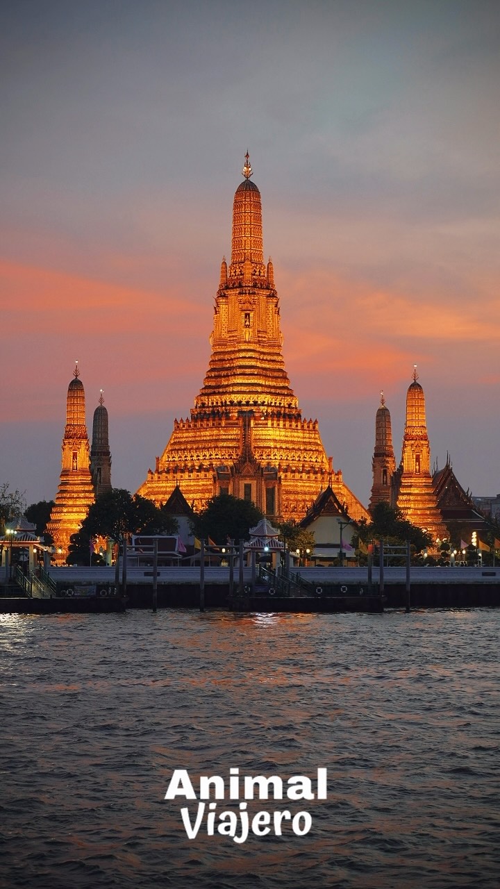 ¿A quién te llevarías a #Tailandia?
10 días
Desde $23,800 mxn
Ocupación doble
#animalviajero #viajesatailandia #agenciadeviajescdmx