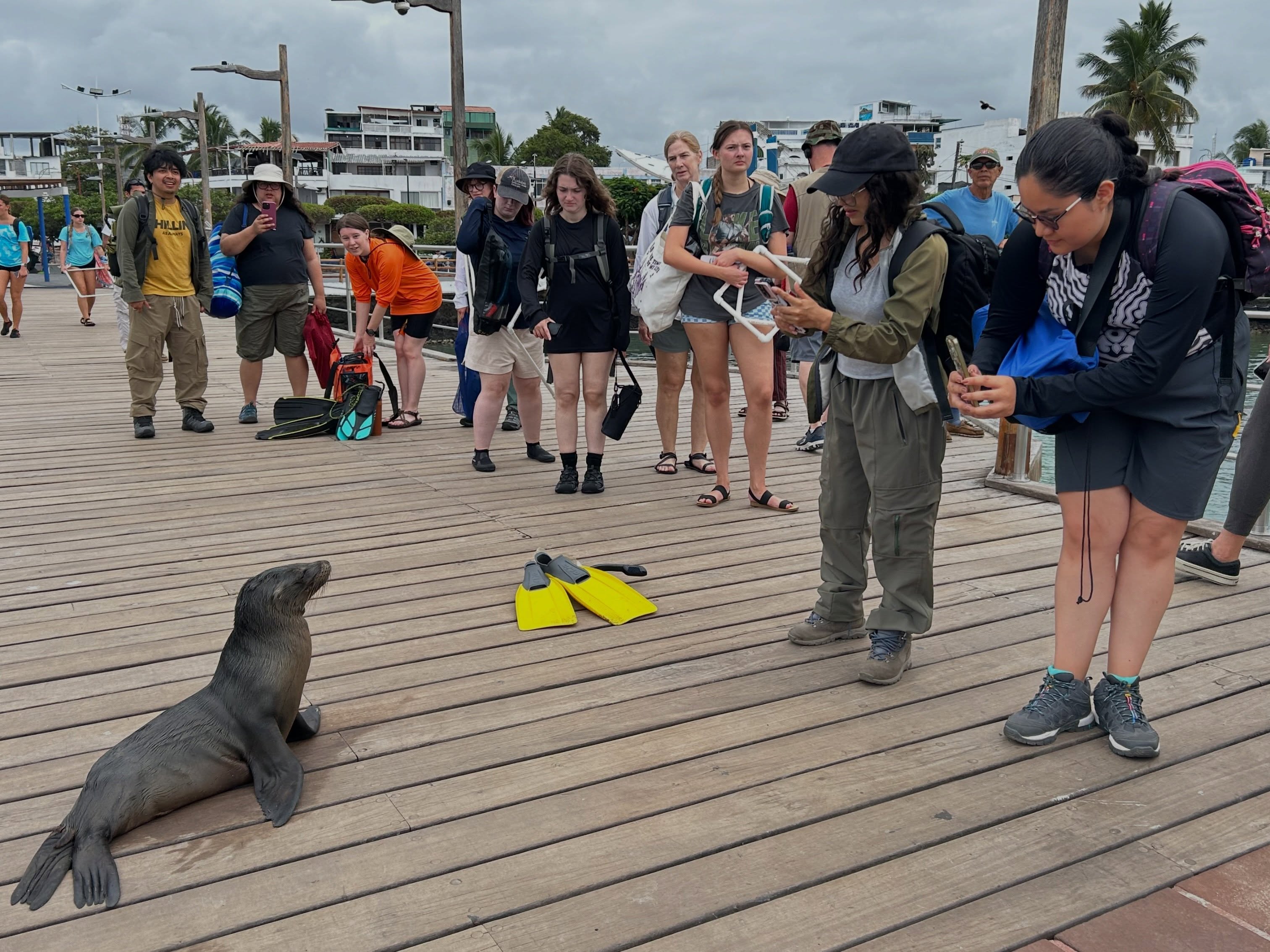 The day began at the pier by walking carefully around a baby #sealion and boarding a water taxi to German Beach. We practiced using #transect and #quadrat sampling to quantify abundance, diversity, and density. We proceeded to Las Grietas where we swam through the narrow canyon and saw schools of large #mullet. It was Belen’s birthday so we celebrated before starting the lecture. We followed with a fish #dissection, dinner, and a movie night. Tomorrow is also going to be a fully packed day. Really looking forward to continuing our adventures. @fauecos @fauscience @abigail.scigliano @allietrost @brileigh_rayl @sofia_jans @birdwitdaravioli @anneliesel06 @eba1yn @jo.lamaison
