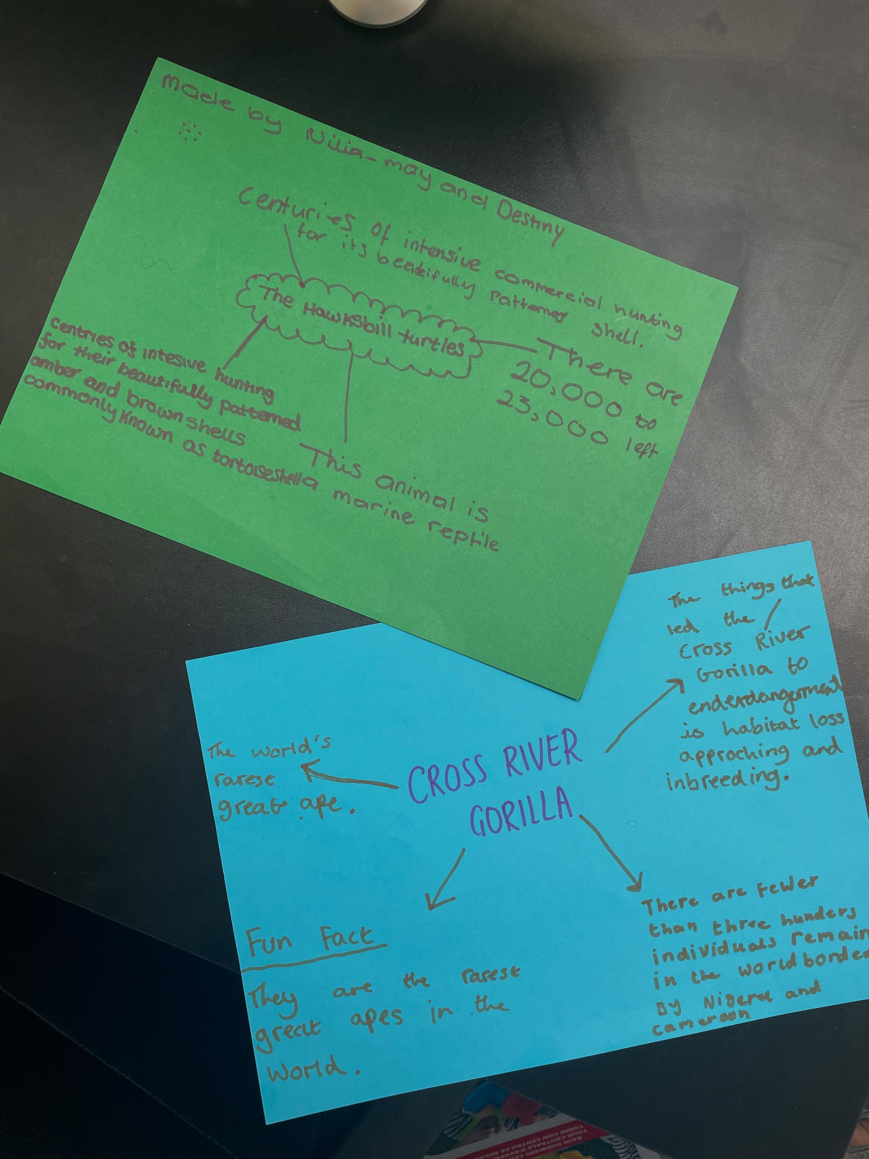 some informative posters made by our teens on endangered animals !