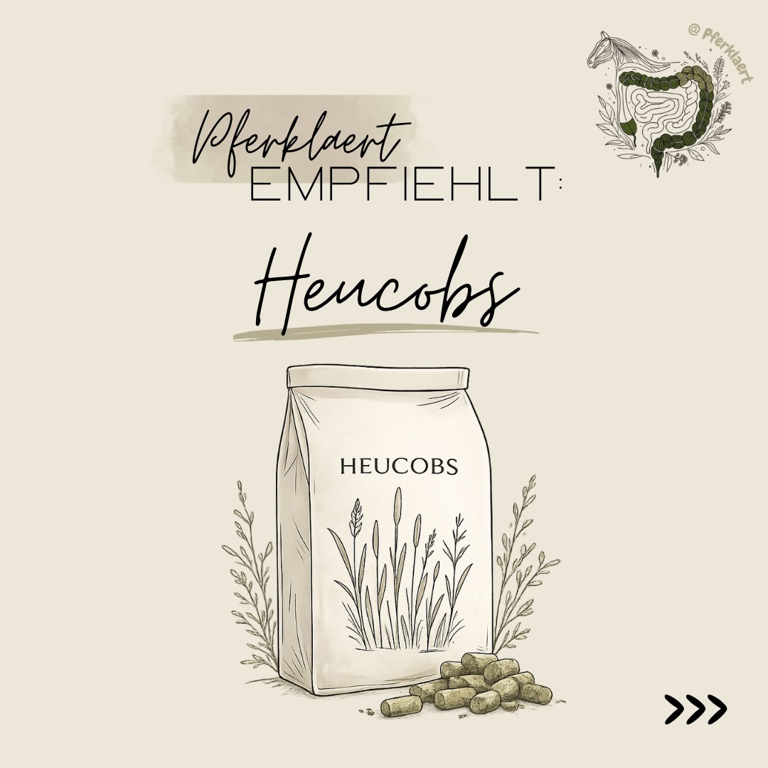 Hellou und willkommen zum neuen Format ✨Pferklaert empfiehlt✨. Den Anfang machen heute die Heucobs.
Heu bildet die Grundlage einer bedarfsgerechten Pferdefütterung. Heucobs können deshalb besonders dann sinnvoll sein, wenn strukturreiches Raufutter ergänzt werden muss – beispielsweise bei älteren Pferden, Zahnproblemen oder einem erhöhten Bedarf. Sie können dabei helfen, die Raufutterversorgung sicherzustellen und zusätzliche Energie sowie Nährstoffe über hochwertiges Grundfutter bereitzustellen.
Wichtig ist dabei aber immer die Qualität des Produkts, die Zusammensetzung und vor allem die individuelle Situation des Pferdes. Denn auch bei Heucobs gilt: Nicht jedes Produkt passt automatisch zu jedem Pferd.
👉🏻Grundsätzlich sollte Fütterung niemals isoliert betrachtet werden. Ob ein Futter sinnvoll ist, hängt immer vom Gesamtbild ab:
✅ Haltung
✅ Arbeitsniveau
✅ Verdauung
✅ Gesundheitszustand
✅ Alter
✅ restliche Ration
uvm.
Genau deshalb ist es wichtig, nicht nur Werbung, Trends oder Einzelmeinungen zu folgen, sondern die biologischen Zusammenhänge dahinter zu verstehen.
Und genau darum geht es hier auf meinem Account: Pferdegesundheit verständlich erklären, Zusammenhänge einordnen und fundiertes Wissen zugänglich machen🌿
Schreib gerne mal in die Kommentare
💬Welche Heucobs kannst du empfehlen?
💬Wie gefällt dir dieses neue Format?
💬Welche Produkte oder Produktgruppen soll ich mir als Nächstes anschauen?
Dein Feedback hilft mir dabei, die Reihe weiterzuentwickeln und noch hilfreicher zu gestalten 💚
Wenn dir der Beitrag gefallen hat, freue ich mich über ein Like ❤️, speichere ihn für später 📌 und teile ihn mit anderen Pferdemenschen 🐴✨
⚠️ Hinweis: Alle Angaben beziehen sich auf den Zeitpunkt der Erstellung des Beitrags. Deklarationen, Preise und Herstellerangaben können sich jederzeit ändern und sollten daher vor dem Kauf stets aktuell überprüft werden.
(unbezahlte Werbung)