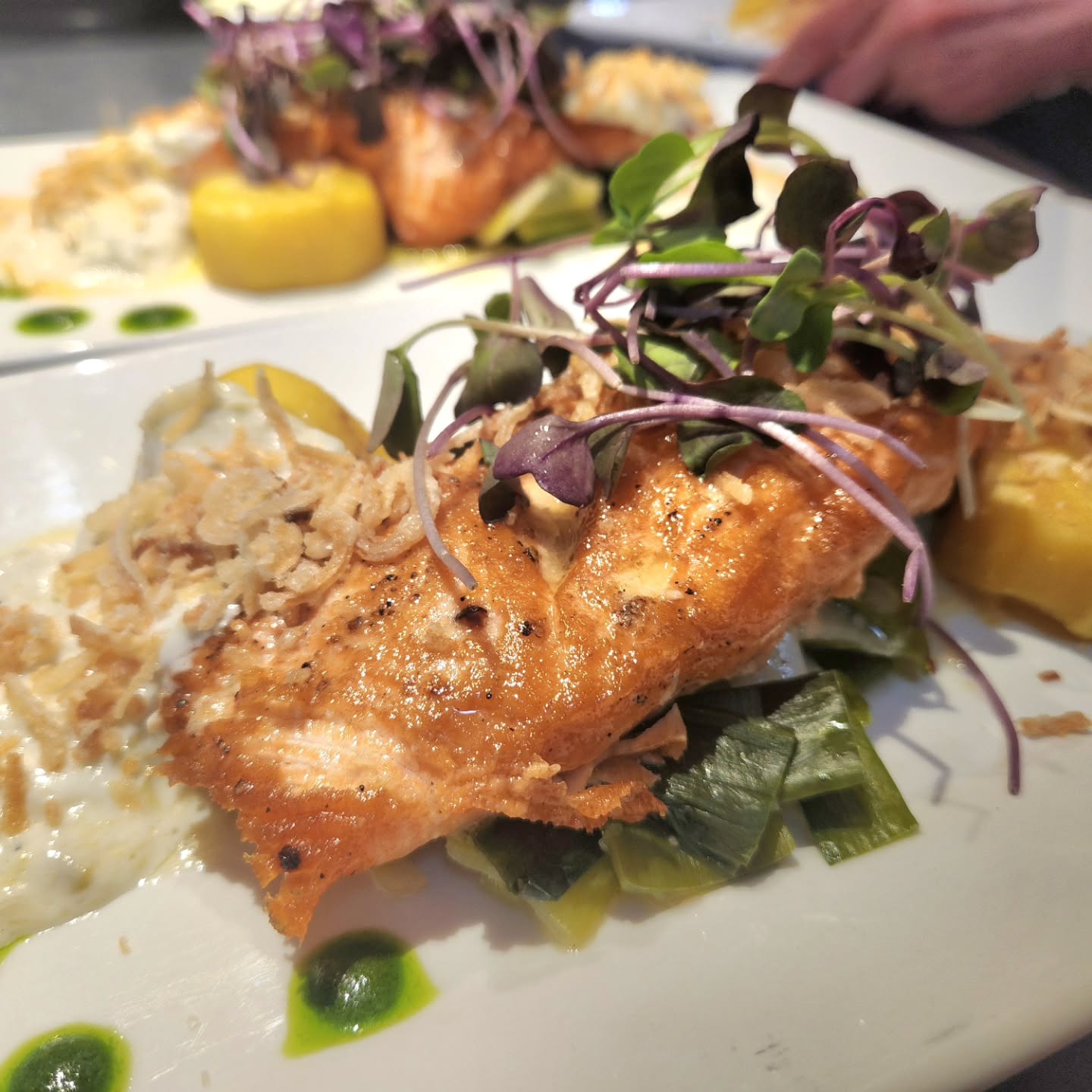 ✨️Freshly wild caught local salmon has swam into Persephone !✨️🐟
We pride ourselves is highlighting the wonderful ingredients our county has to offer! Book your table soon!✨️🥂
#farmtotable #aptosdining #supportlocalbusinesses Ocean2table Edible Monterey Bay Santa Cruz Sentinel Santa Cruz Bucket List Visit Santa Cruz