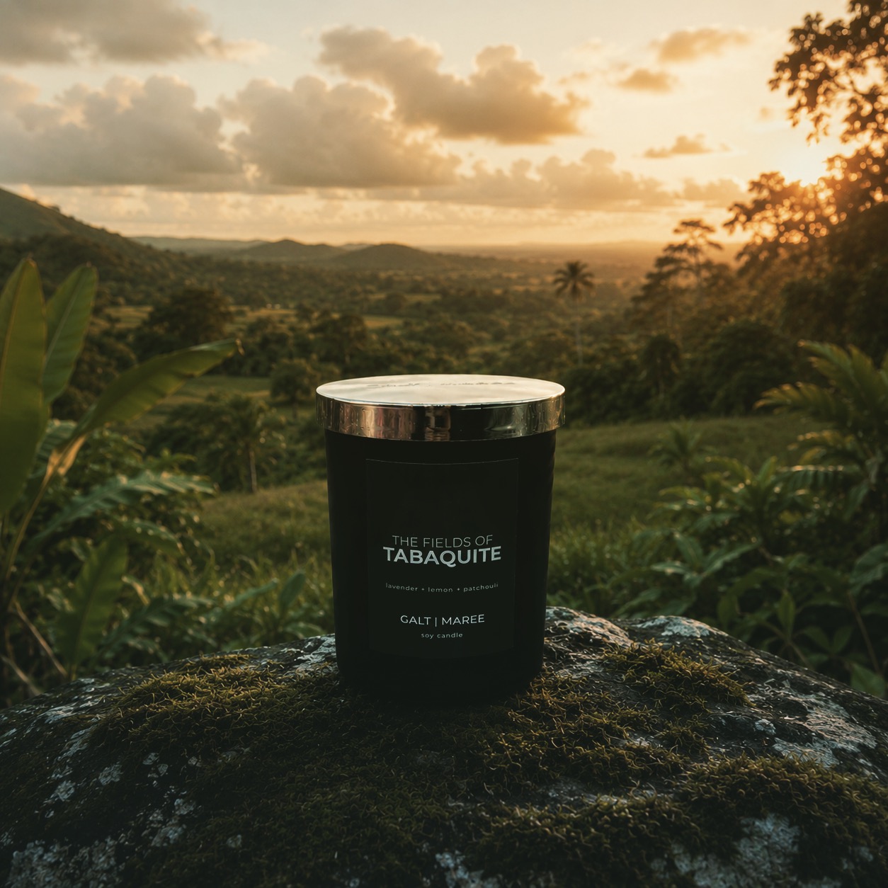 ✨ Breathe in the quiet beauty of Trinidad.
Inspired by the rolling landscapes and endless greenery of Tabaquite, this signature Galt & Maree candle blends calming lavender, bright lemon, earthy patchouli, warm cedar, and grounding vetiver to create a scent that feels both refreshing and deeply comforting.
Light it at the end of a long day and let the fragrance transport you to open fields, gentle breezes, and moments of stillness.
🕯️ The Fields of Tabaquite
🌿 Lavender
🍋 Lemon
🌲 Cedar
🌱 Patchouli
🌾 Vetiver
Available now from Galt & Maree.
#GaltAndMaree #TheFieldsOfTabaquite #HomeFragrance #CandleLover #TrinidadAndTobago