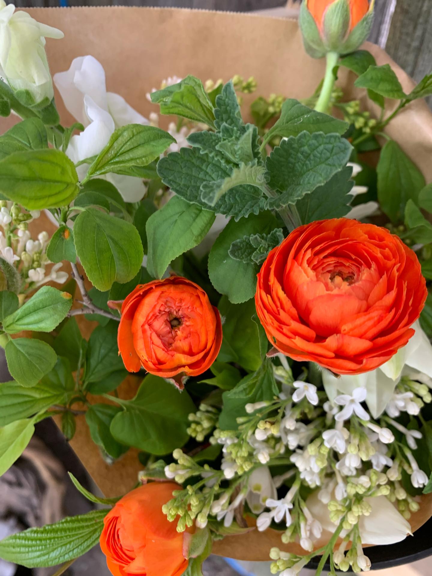 The Flower Stand is open today thru Sunday with fresh harvested, grown-right-here flowers! 10am-6pm.
See you soon!
Your flower farmer,
Debra
#thegardeninharrington #harringtonontario #stratfordontario #canadianflowerfarm
