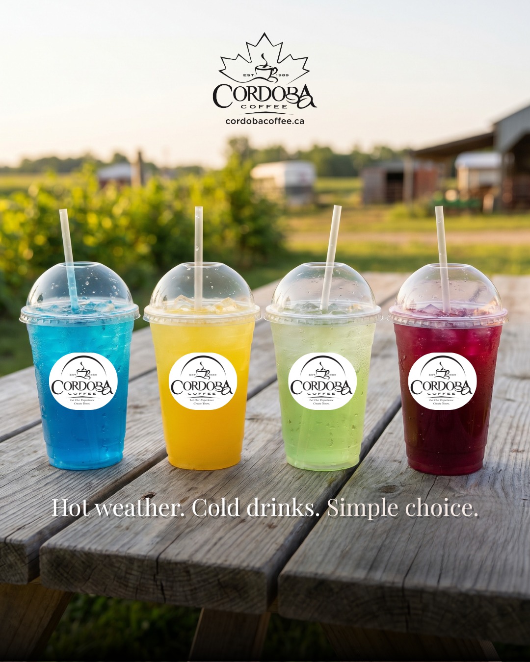Cordoba Chillers are back for spring and summer, and this season we've got four flavours: Blue Raspberry, Pineapple, Apple Melon Mint and Raspberry Dragonfruit.
Each one is made to refresh, whether you're stopping in -or grabbing one on your way through Inglewood.
Order ahead on Uber or find us open 7 days a week at Campbells Cross Farm.
#chillers #cordobacoffee #colddrinks #summerdrinks #blueraspberry #pineappledrink #farmfresh #inglewood