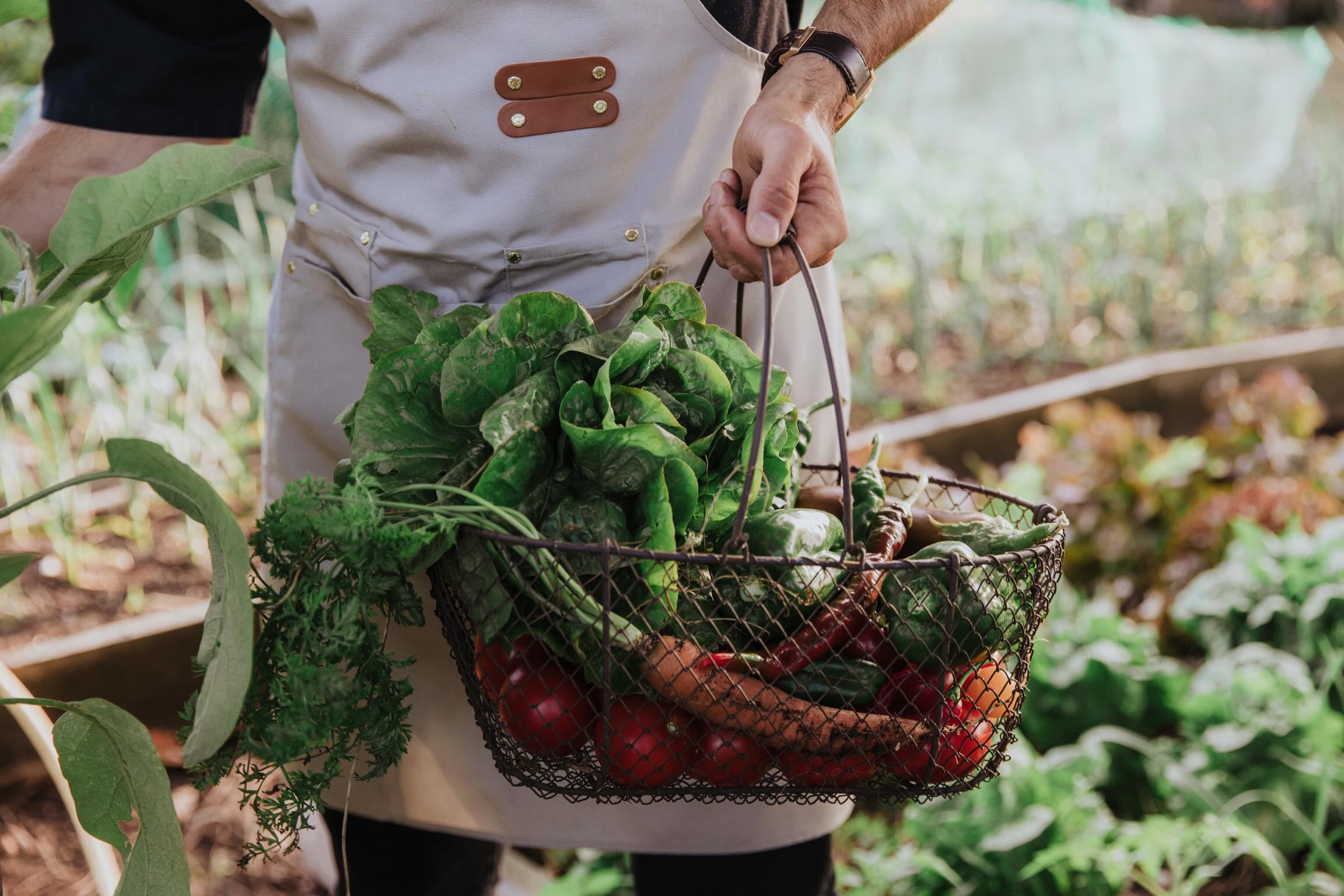 Green therapy
Let us curate your next experience
📞+33 6 42 55 85 32
📧 info@bonappetitsbh.com
•
•
•
•
•
•
#PrivateChef #StBarthChef #FoodLover #ChefLifestyle #LuxuryExperience