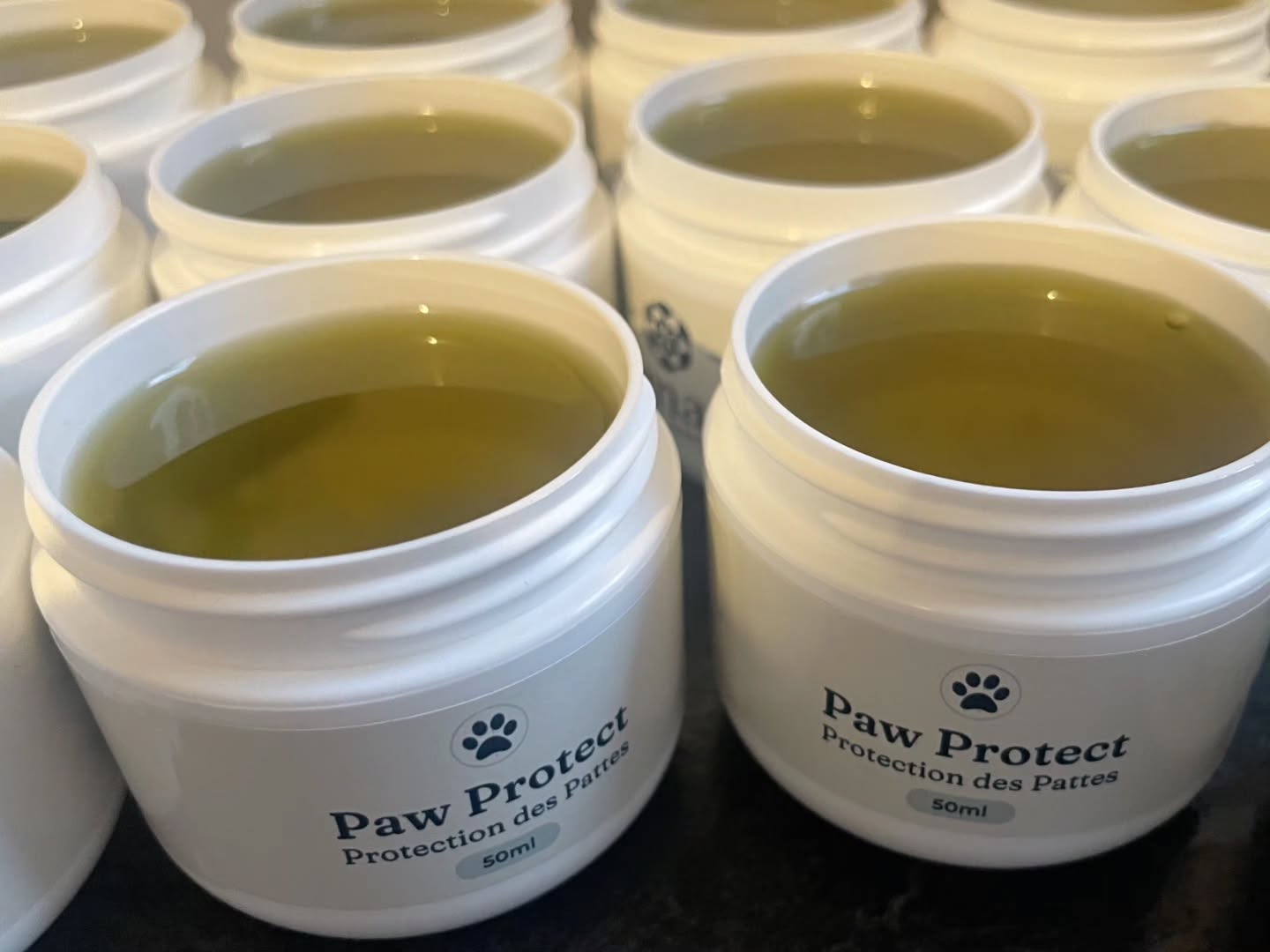 https://www.yemaya.ca/product-page/paw-protext-50-ml