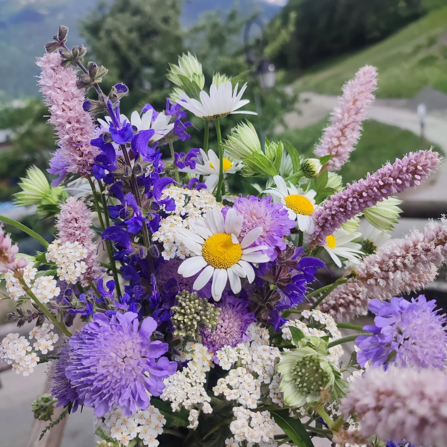 Spring flowers