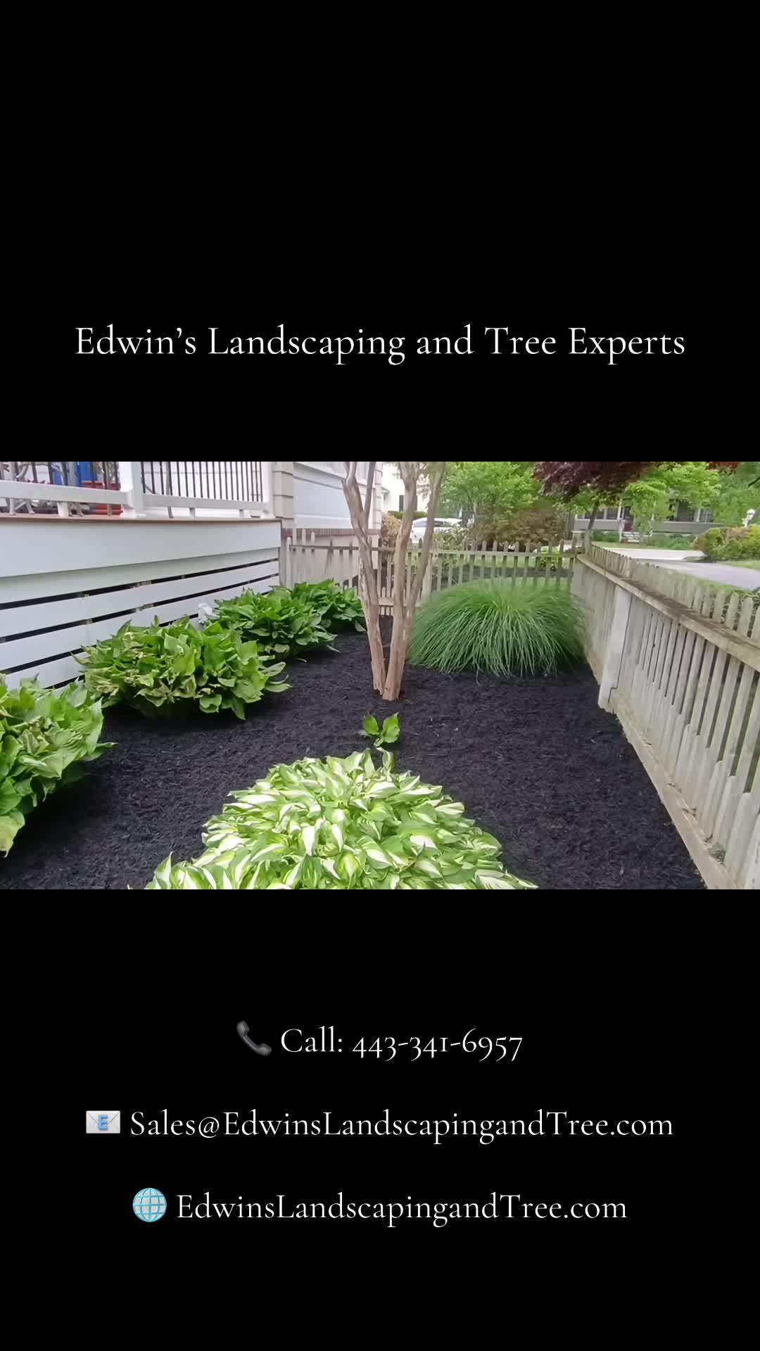 Your yard should feel like an extension of your home; clean, inviting, and impossible to ignore. 🌿
This landscape refresh brought new life to the space with rich black mulch, vibrant greenery, and a crisp finish that instantly upgrades the entire property. Simple details. Big difference.
If your outdoor space needs a reset, Edwin’s Landscaping and Tree Experts is ready to bring the vision to life.
📞 443‑341‑6957
📧 Sales@EdwinsLandscapingandTree.com
🌐 EdwinsLandscapingandTree.com
#BeforeAndAfter #LandscapeGoals #MulchInstallation #CurbAppealMatters #OutdoorSpaces #LandscapingLife #EdwinsLandscapingAndTreeExperts