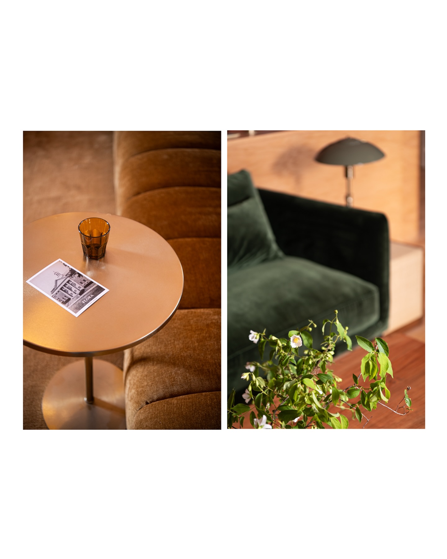 Flora lounge #vibes
design, signage and branding: @campfireandco
architect: @rvacornerstone
developer: @waukeshawdevelopment
photography: @laura_visioni