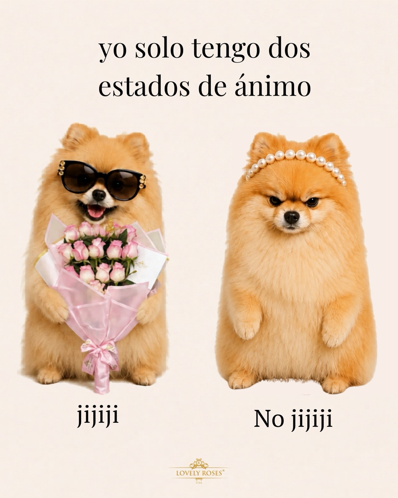 Envíaselo a él para que por fin lo entienda, es por su bien😇